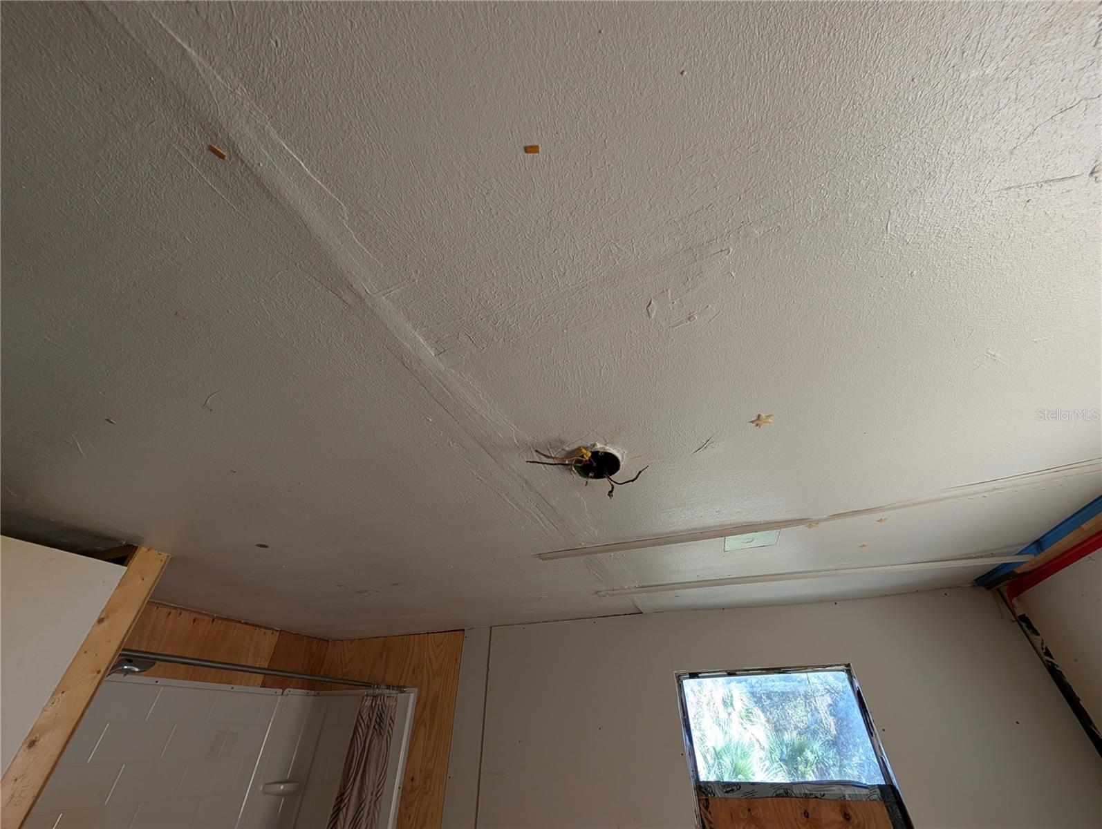 Image 20 of 36 For 25314 Luke Street