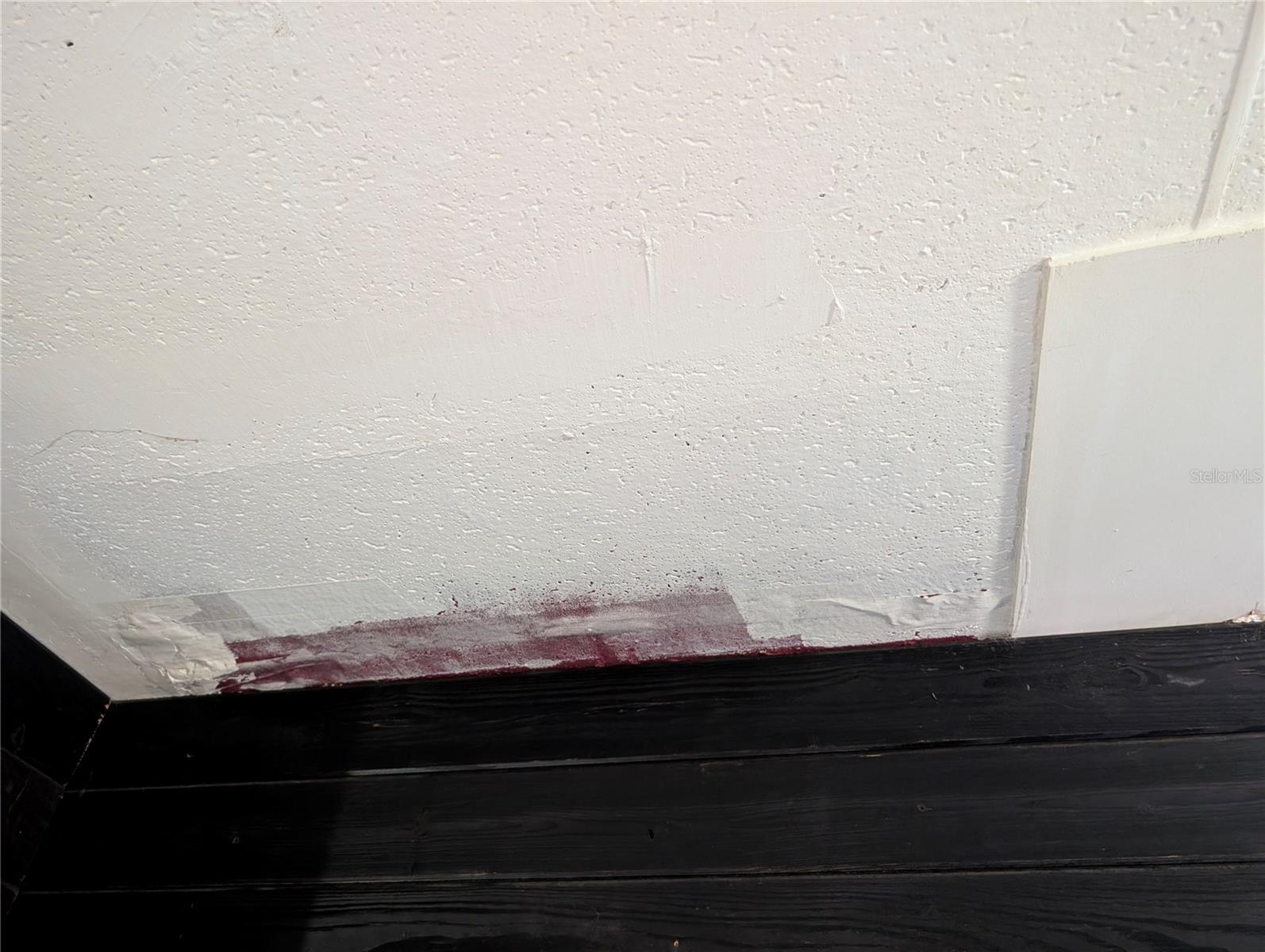 Image 30 of 36 For 25314 Luke Street