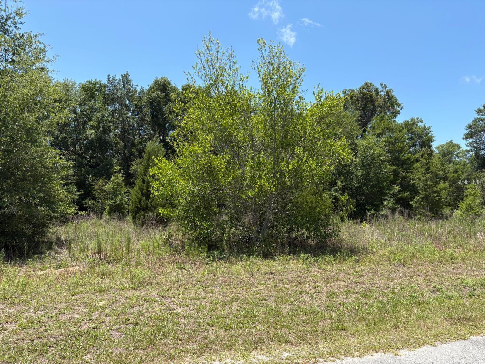 Listing Details for 6642 Flower Terrace, HERNANDO, FL 34442