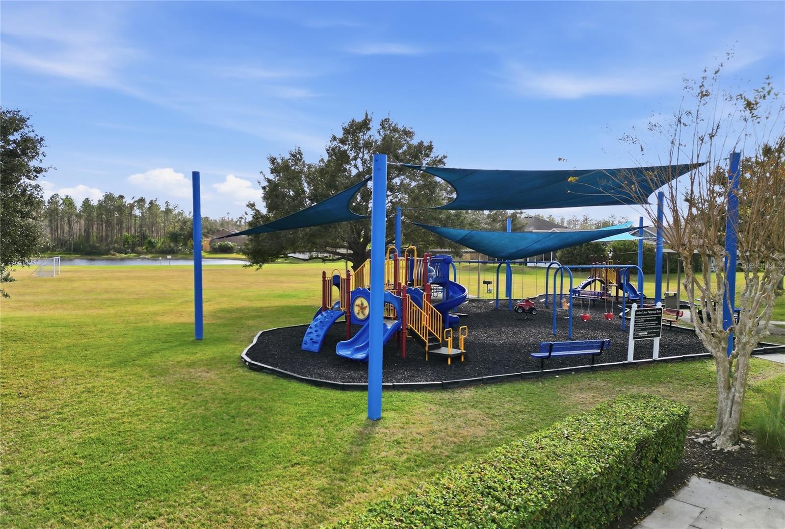 Image 46 of 51 For 14018 Evening Sky Pl