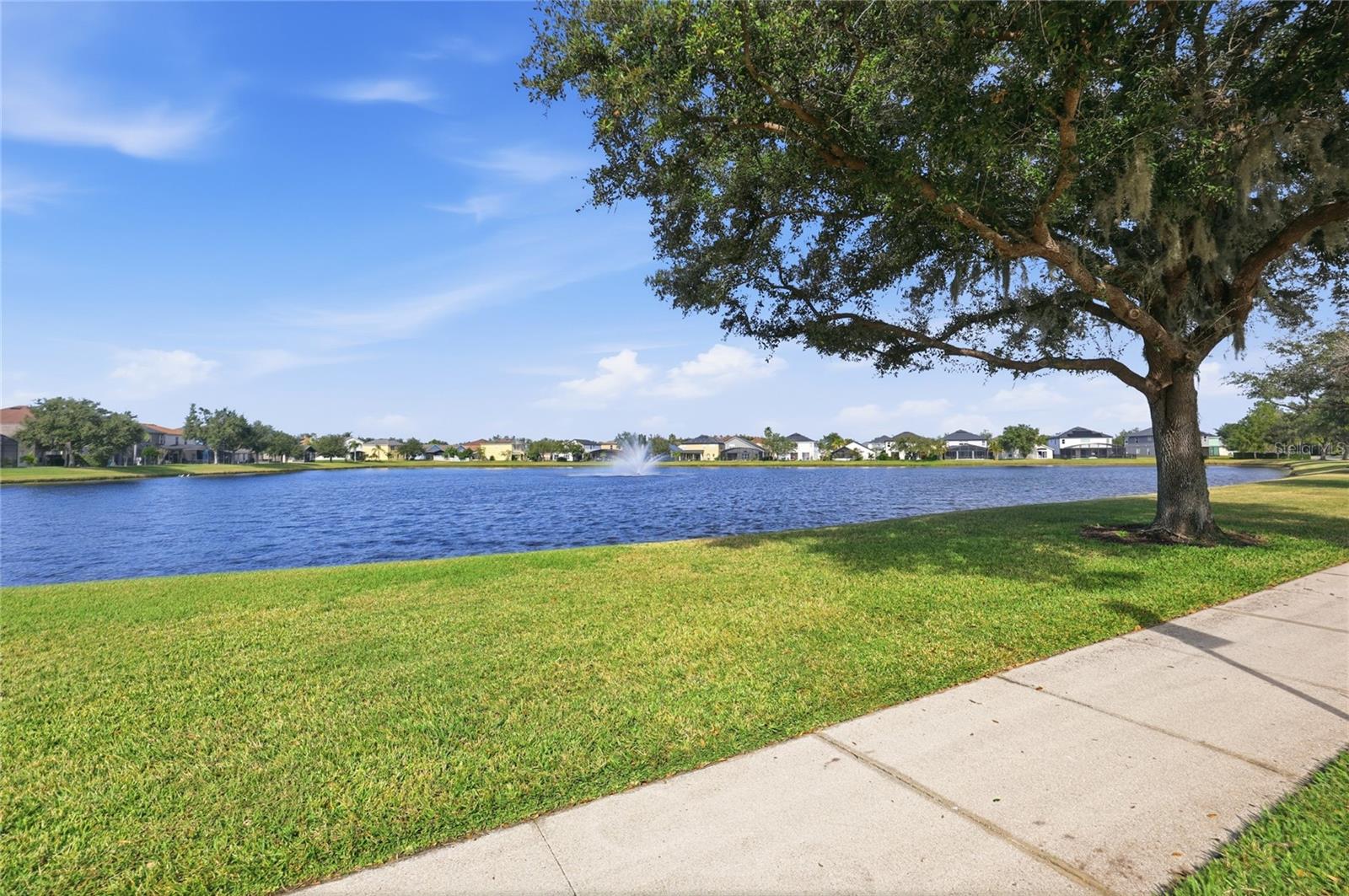 Image 48 of 51 For 14018 Evening Sky Pl