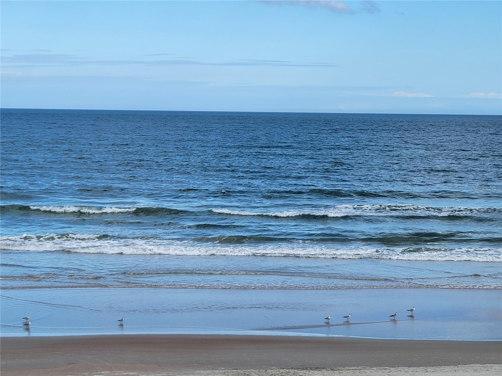 Image 5 of 19 For 2301 Atlantic Avenue 238