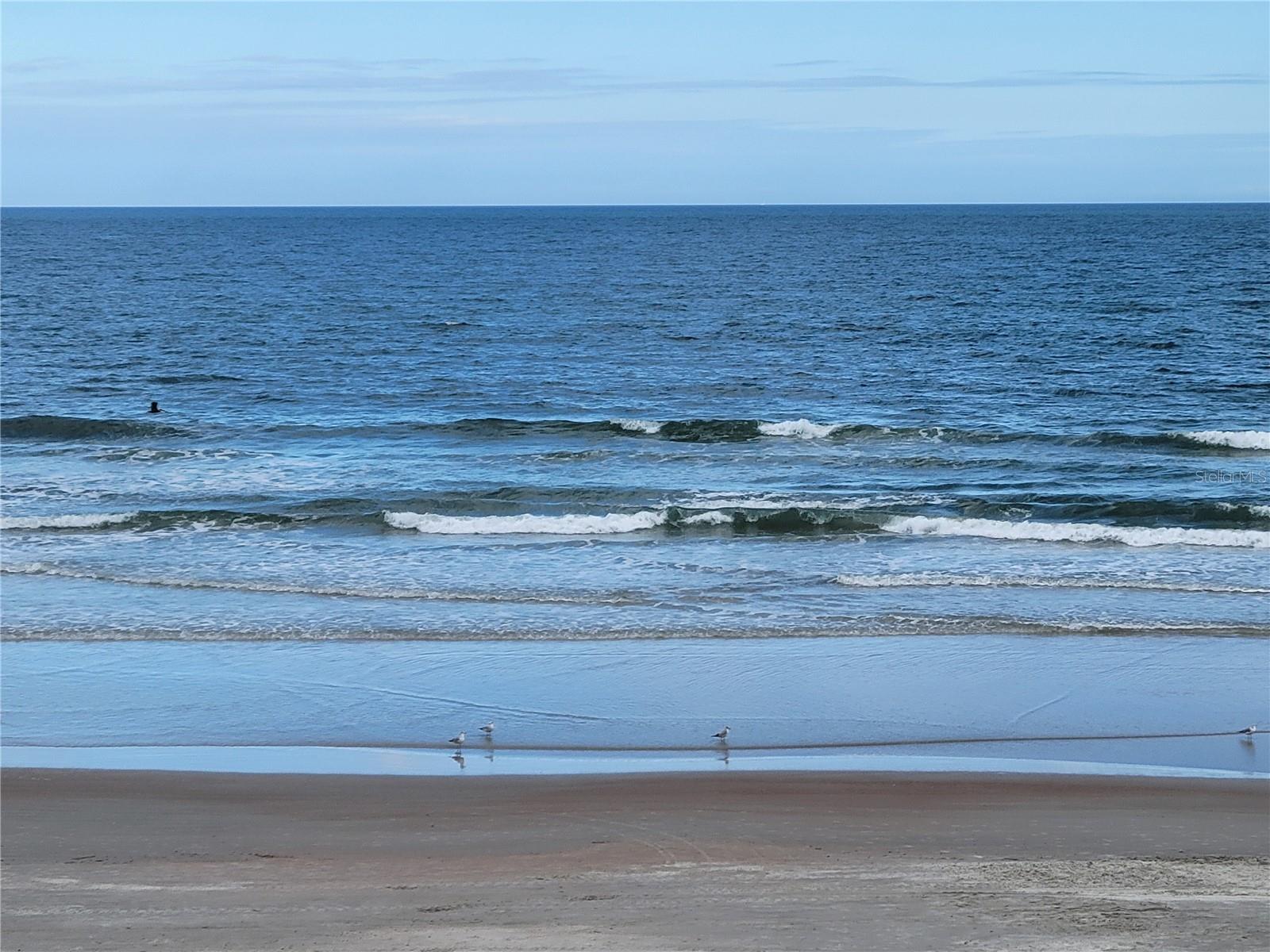 Image 8 of 19 For 2301 Atlantic Avenue 238