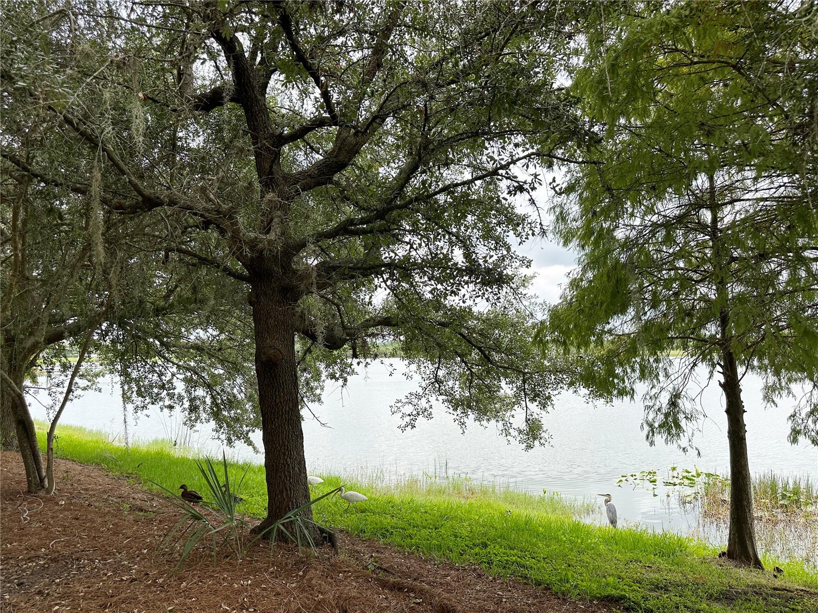 Image 58 of 69 For 5049 Shoreway Loop 10301