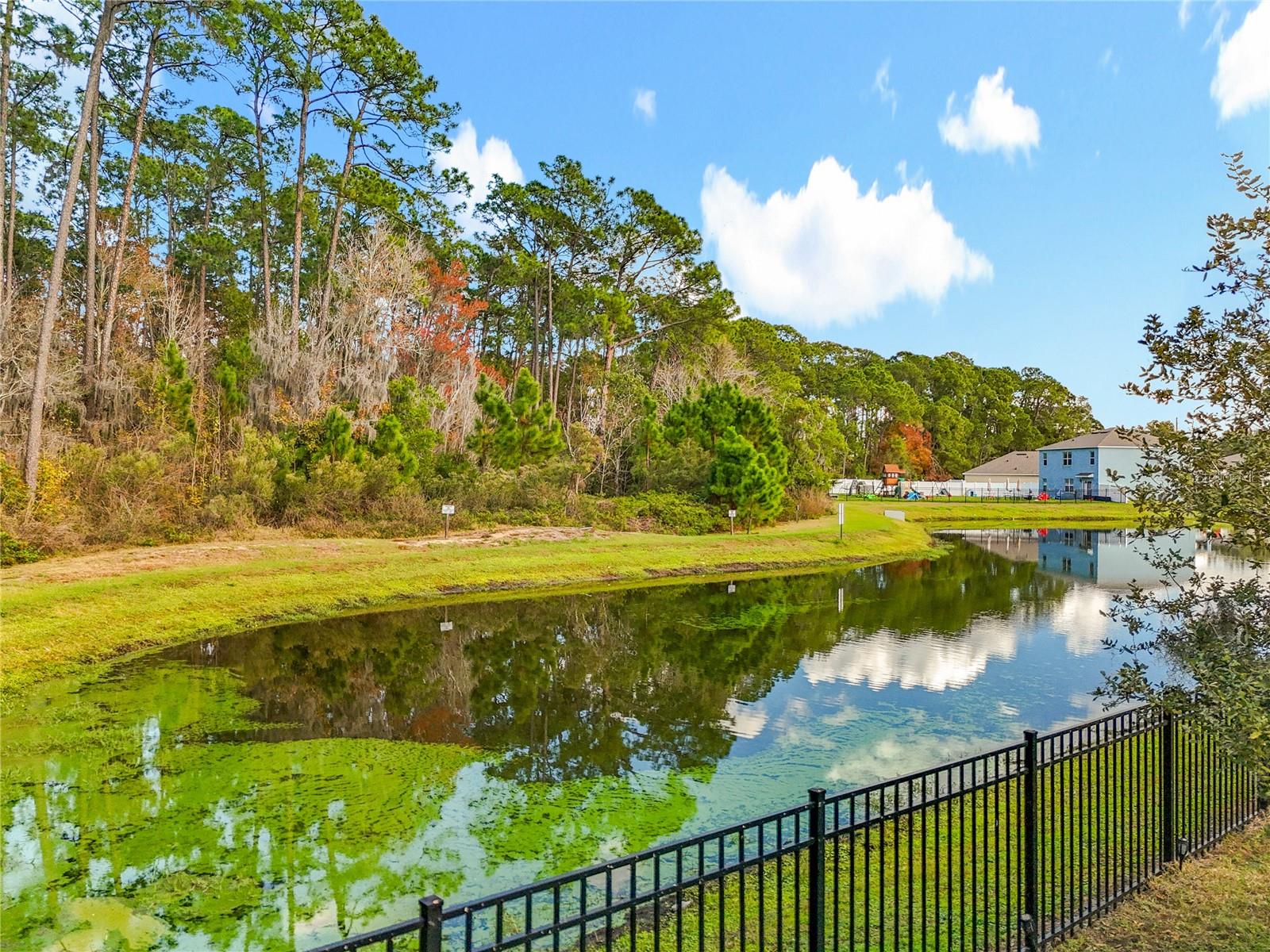 Image 51 of 62 For 2928 Canary Lane