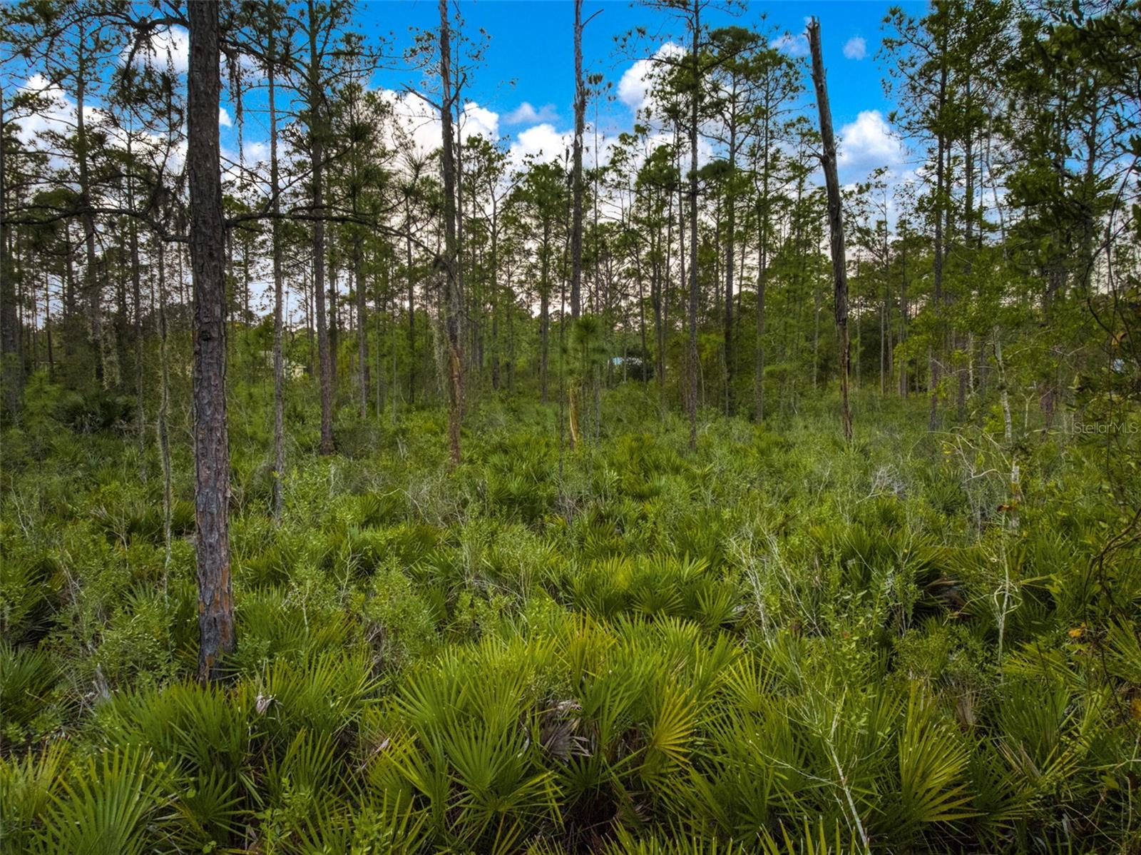 Image 10 of 20 For 5817 Wolf Lake Road