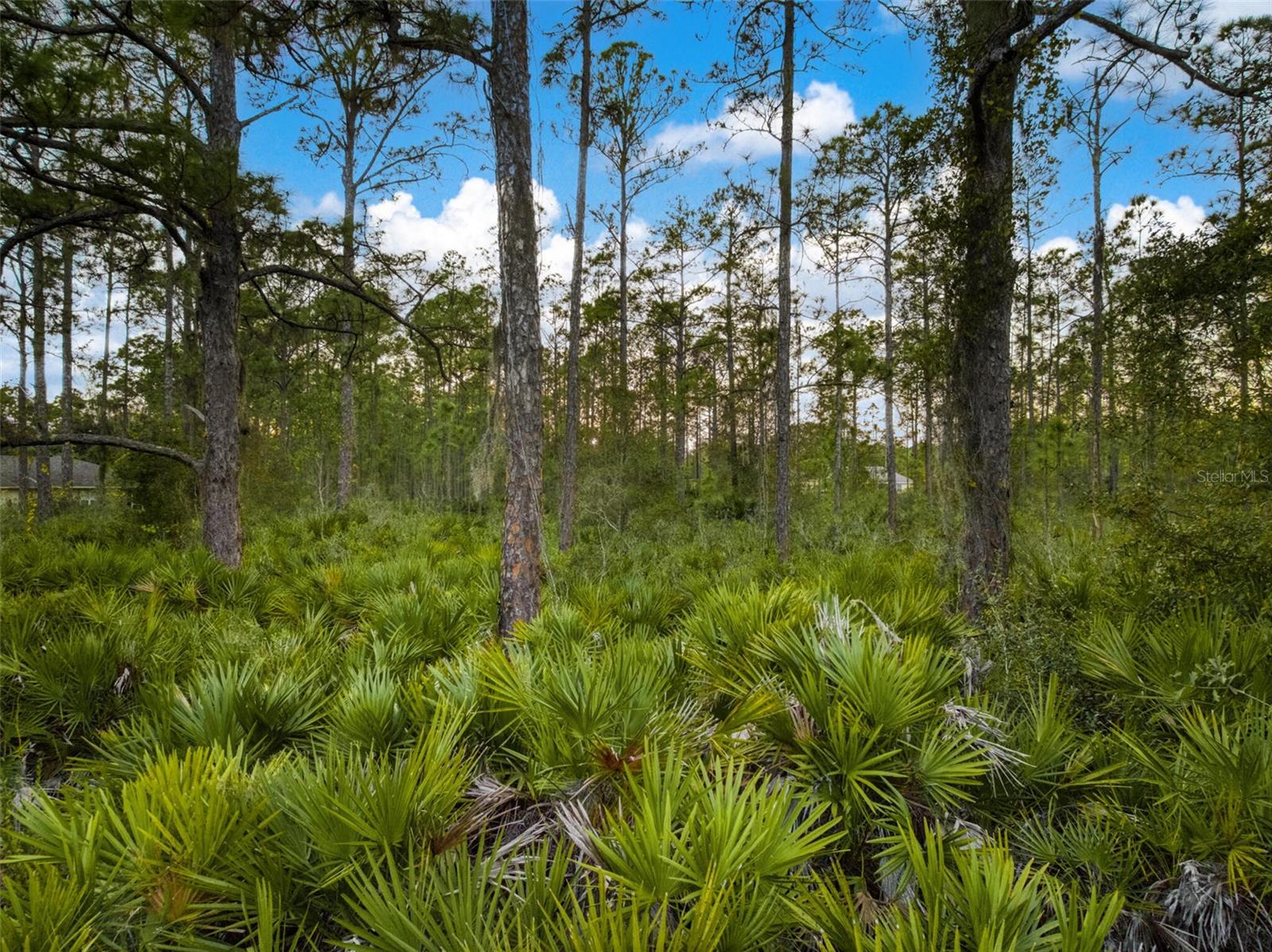 Image 11 of 20 For 5817 Wolf Lake Road