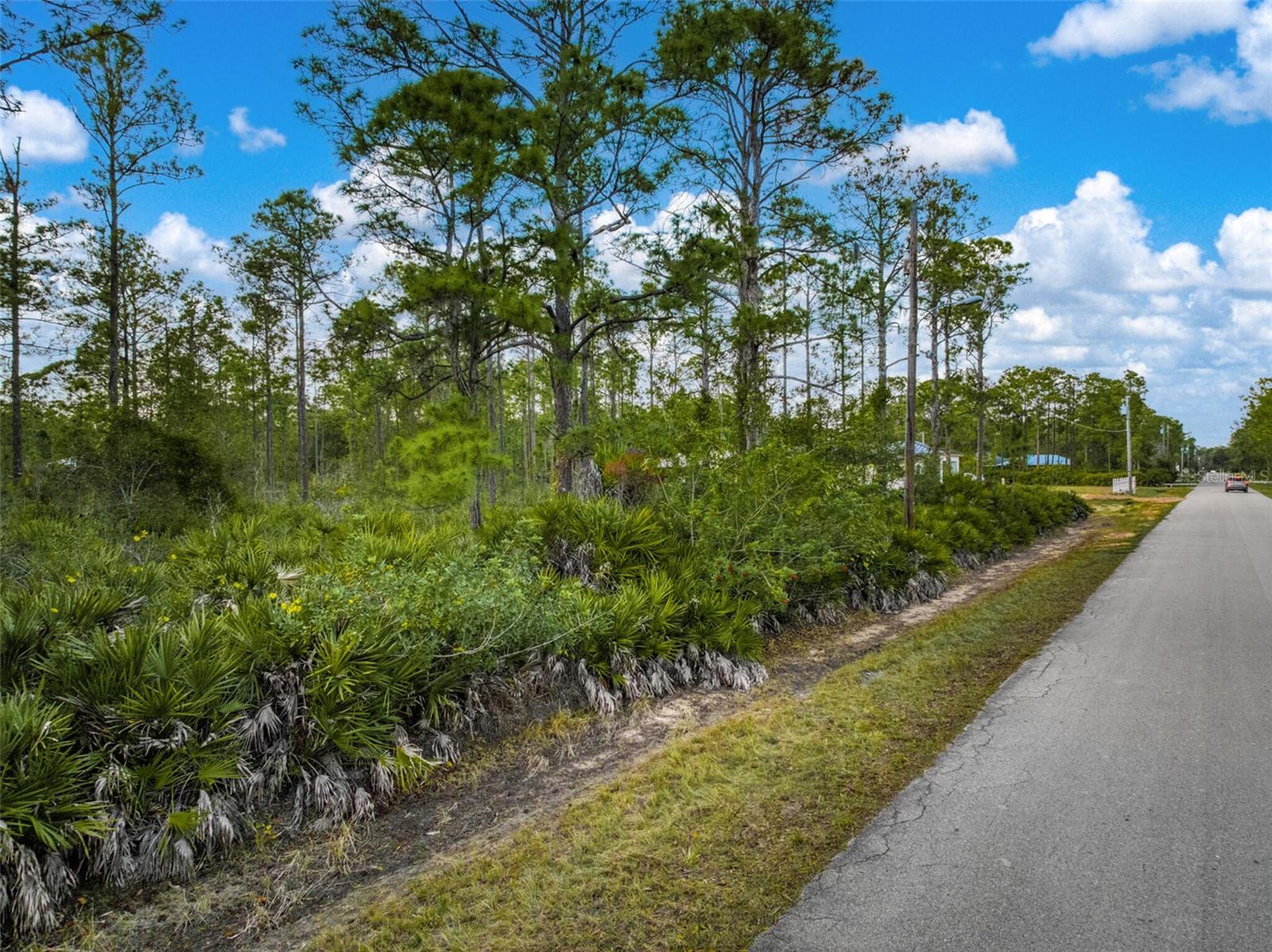 Image 20 of 20 For 5817 Wolf Lake Road