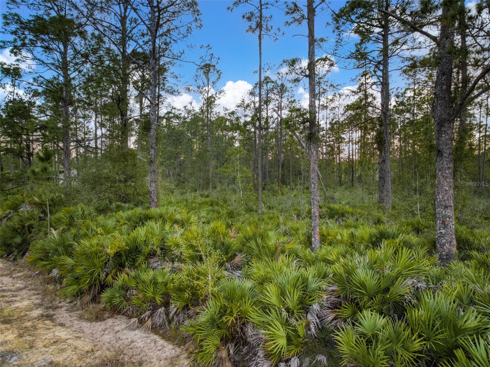 Image 9 of 20 For 5817 Wolf Lake Road