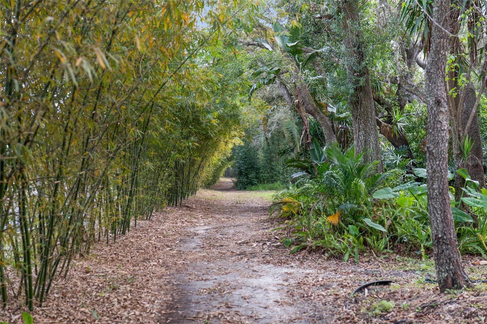 Image 34 of 52 For 3000 Clarcona Road 2914