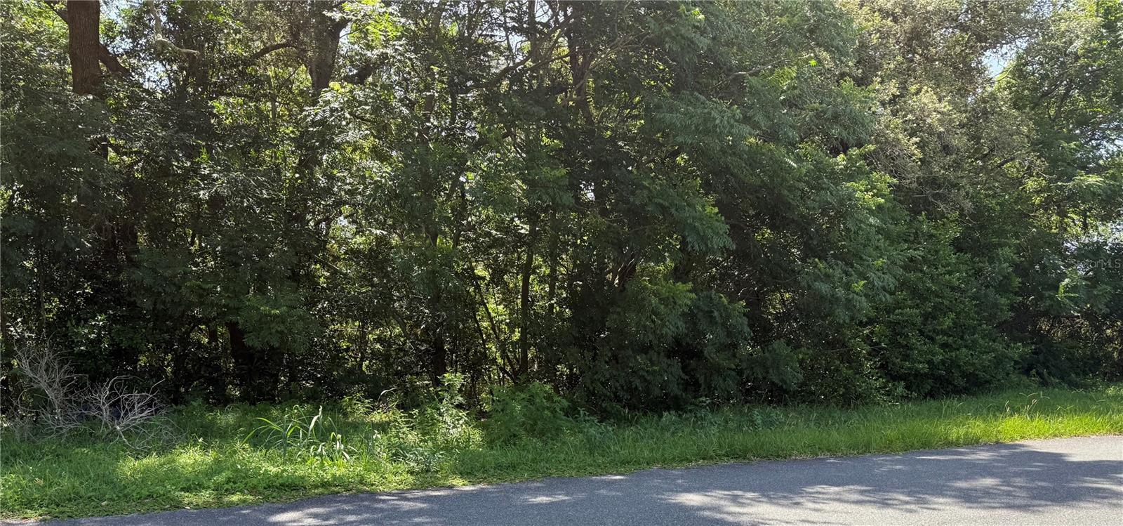 Details for Hutchinson Way, LADY LAKE, FL 32159