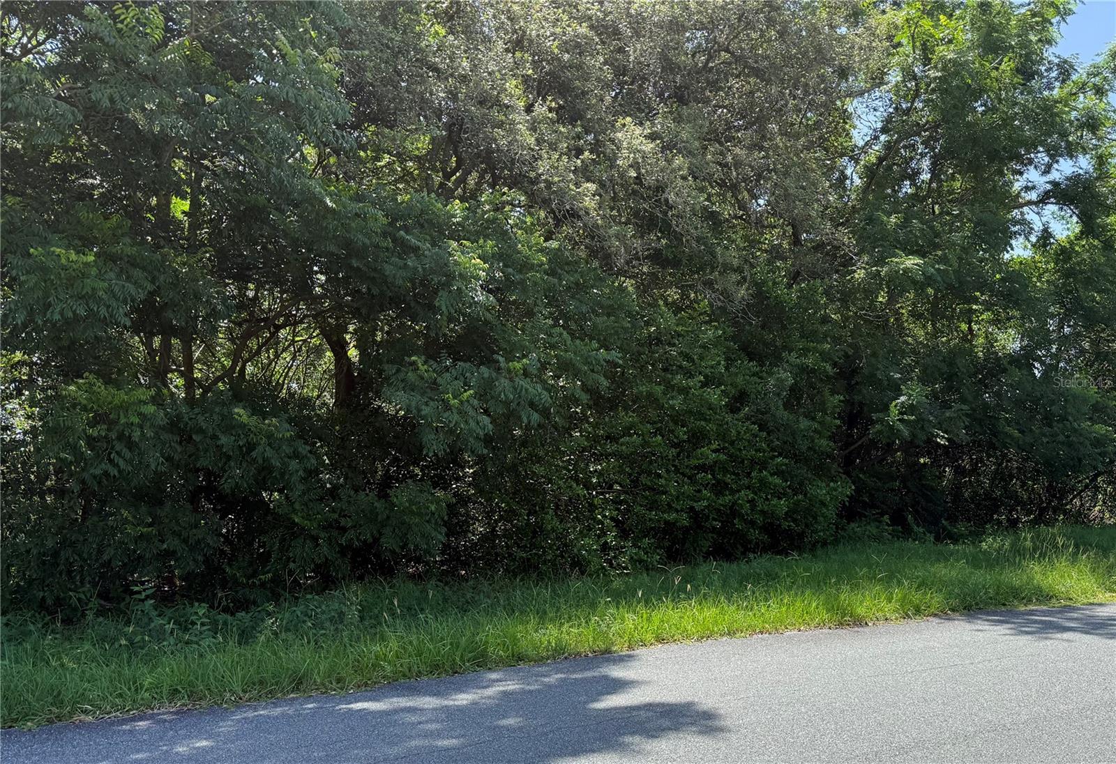 Image 2 of 3 For Hutchinson Way