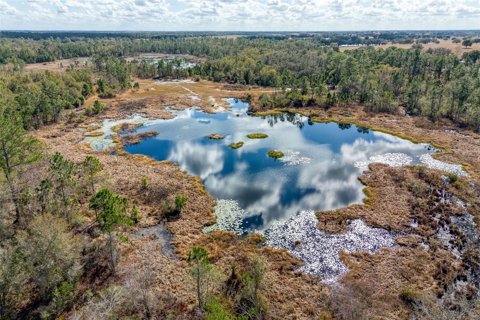 Image 24 of 52 For Address Not Provided