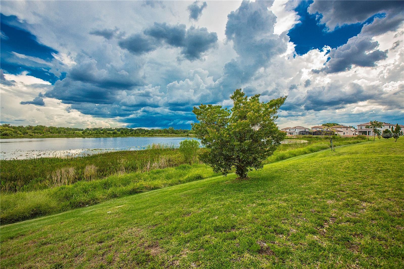 Image 56 of 62 For 181 Mitchell S Manor