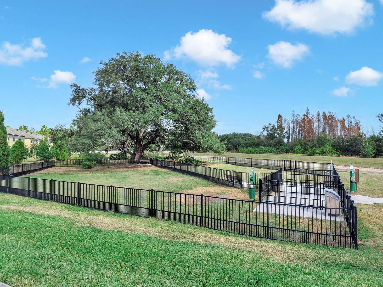 Image 62 of 72 For 10212 Newel Valley Loop