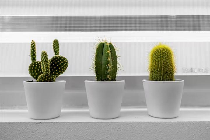 Image 28 of 32 For 1916 Garvin Street