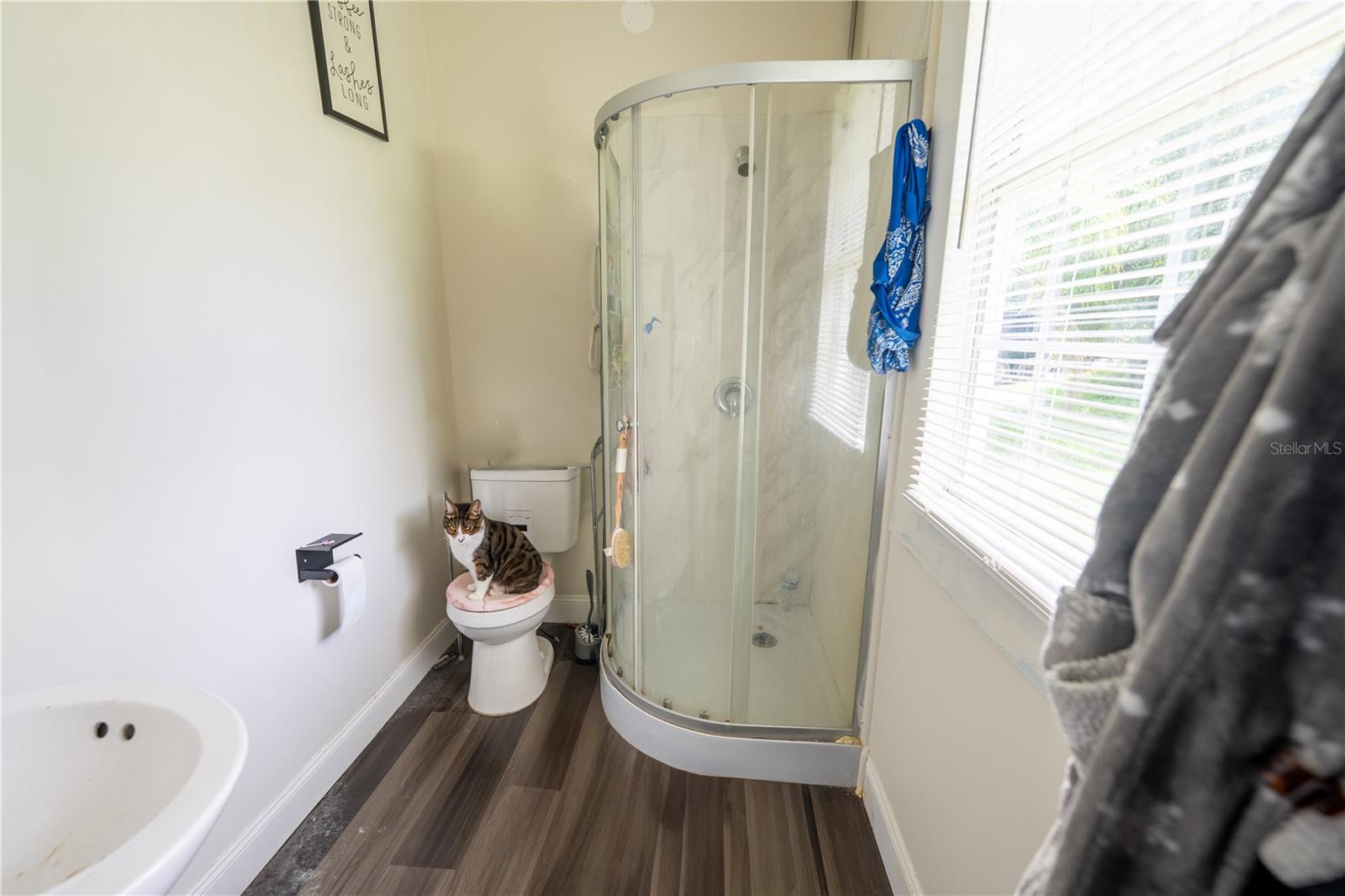 Image 15 of 19 For 2024 Old Lake Mary Road