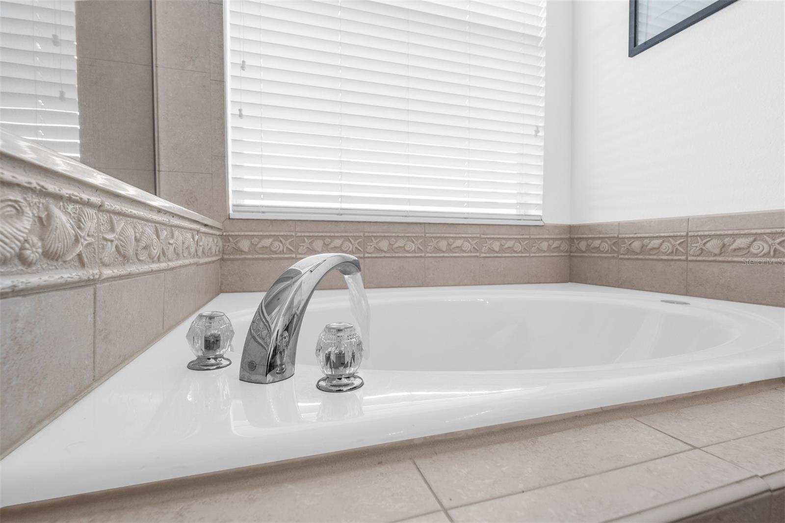 Image 21 of 40 For 9948 Cypress Vine Drive