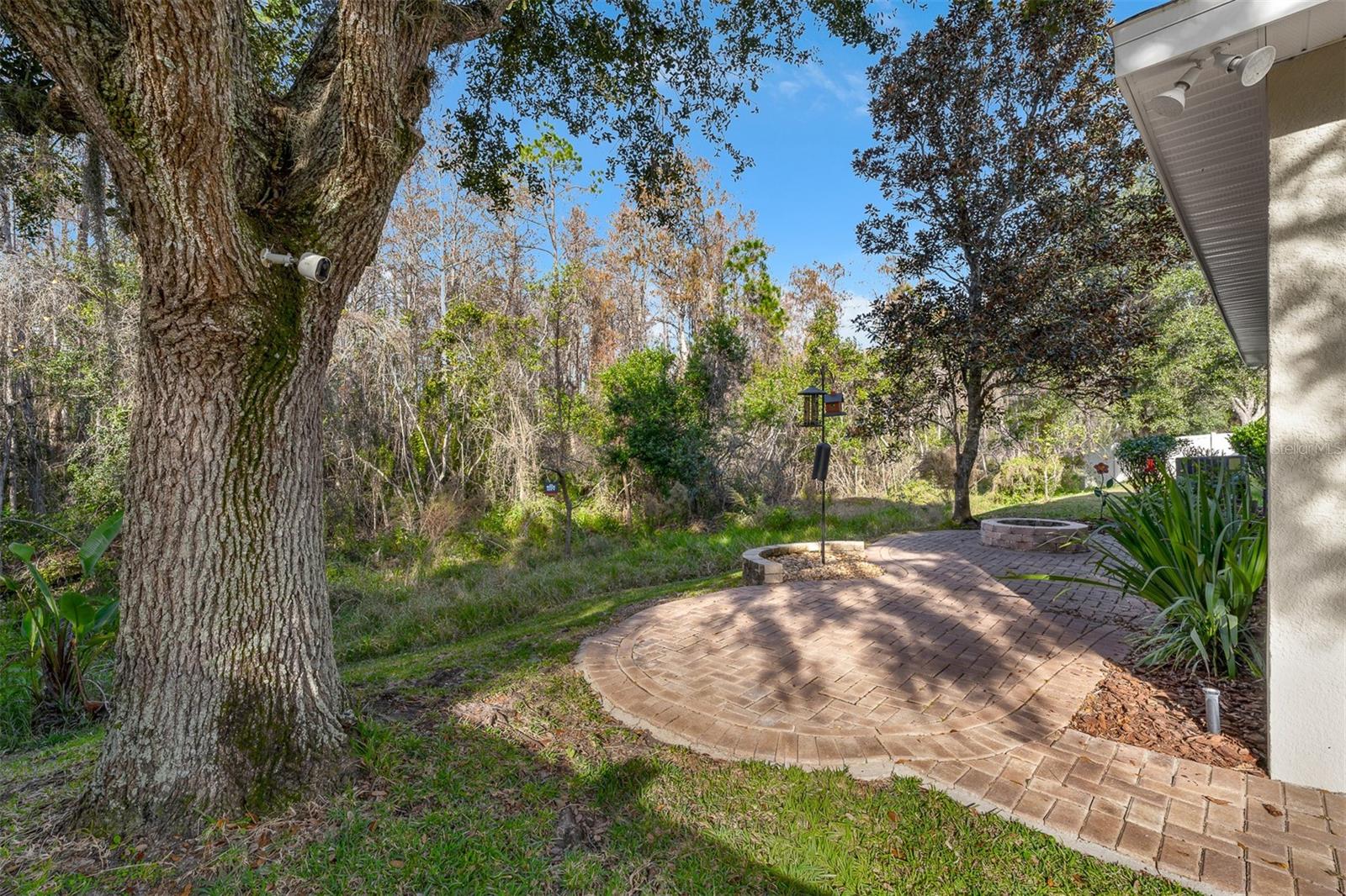 Image 32 of 40 For 9948 Cypress Vine Drive