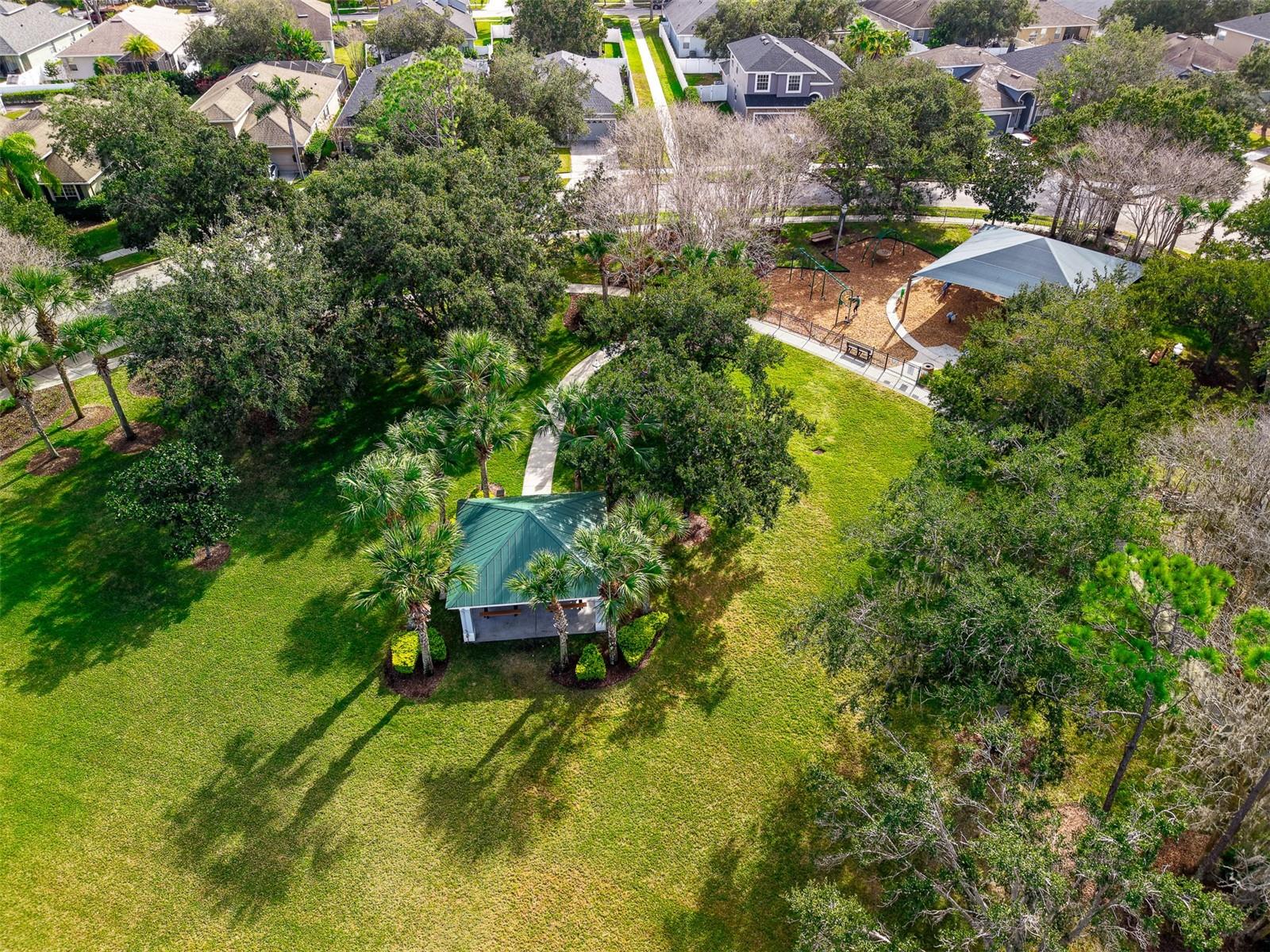 Image 37 of 40 For 9948 Cypress Vine Drive