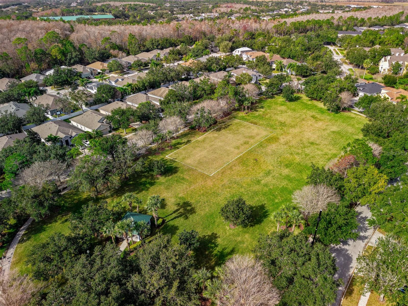 Image 38 of 40 For 9948 Cypress Vine Drive