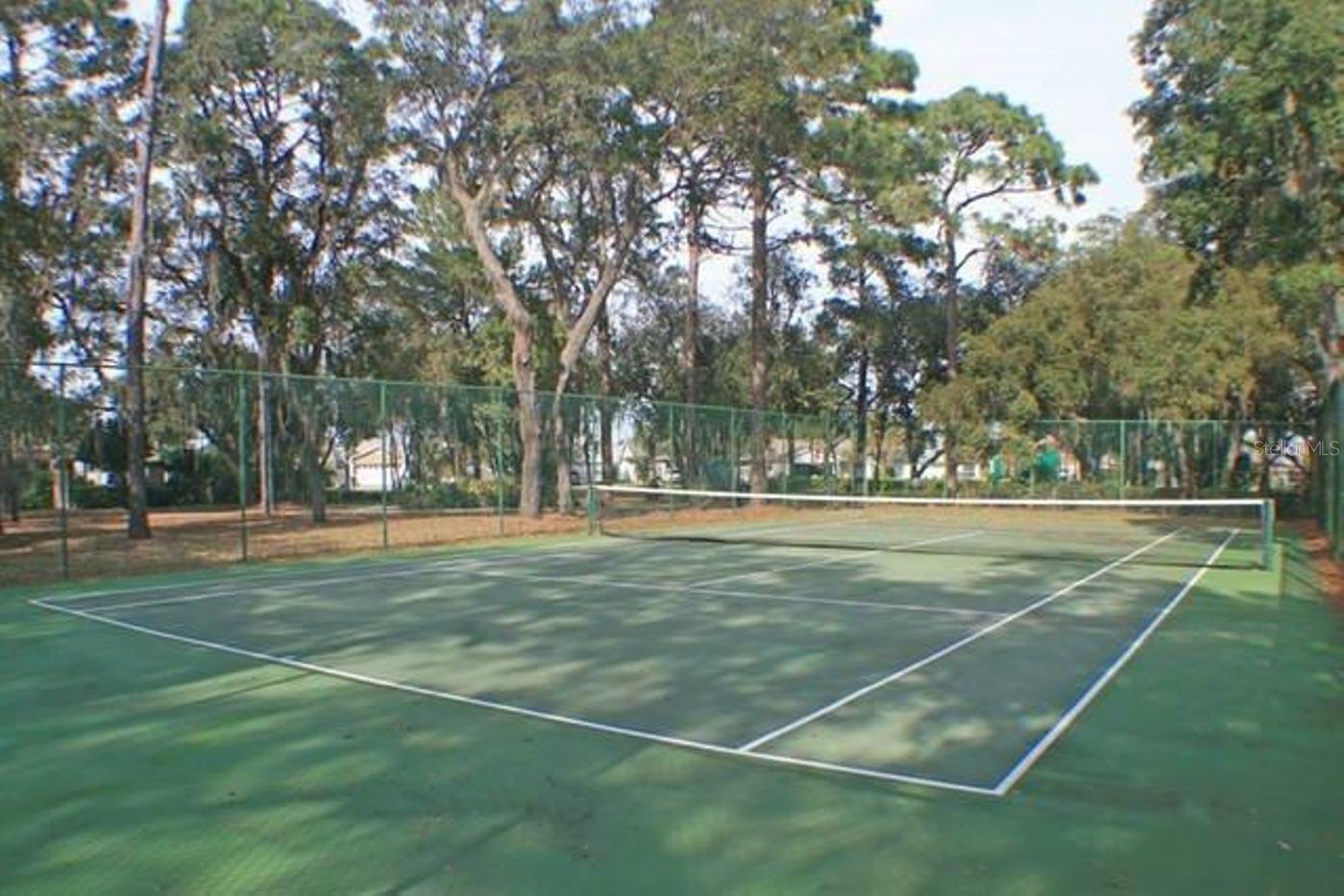 Image 24 of 25 For 7802 Laurel Oak Lane