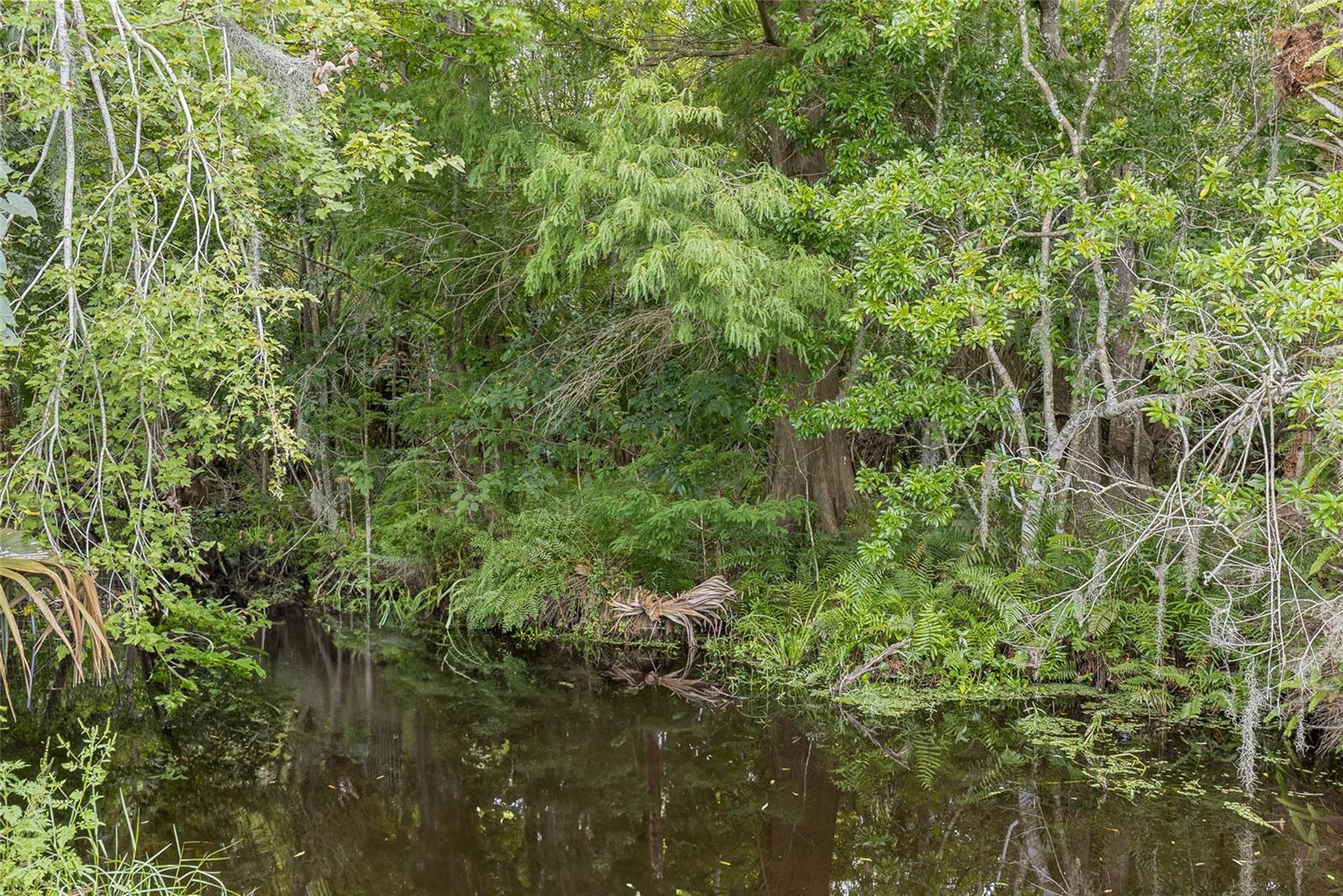 Image 79 of 95 For 6275 Halabrin Road