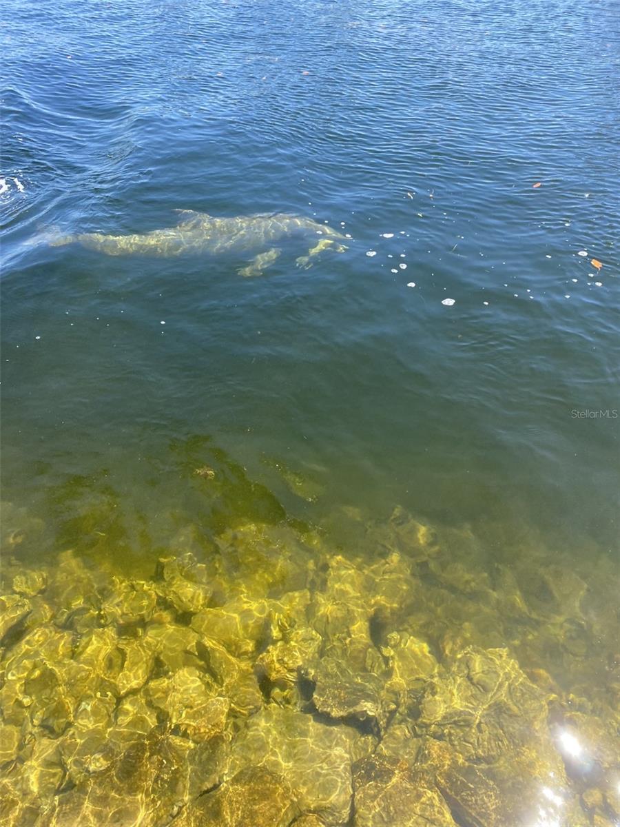 Image 11 of 35 For 4808 Shell Stream Boulevard