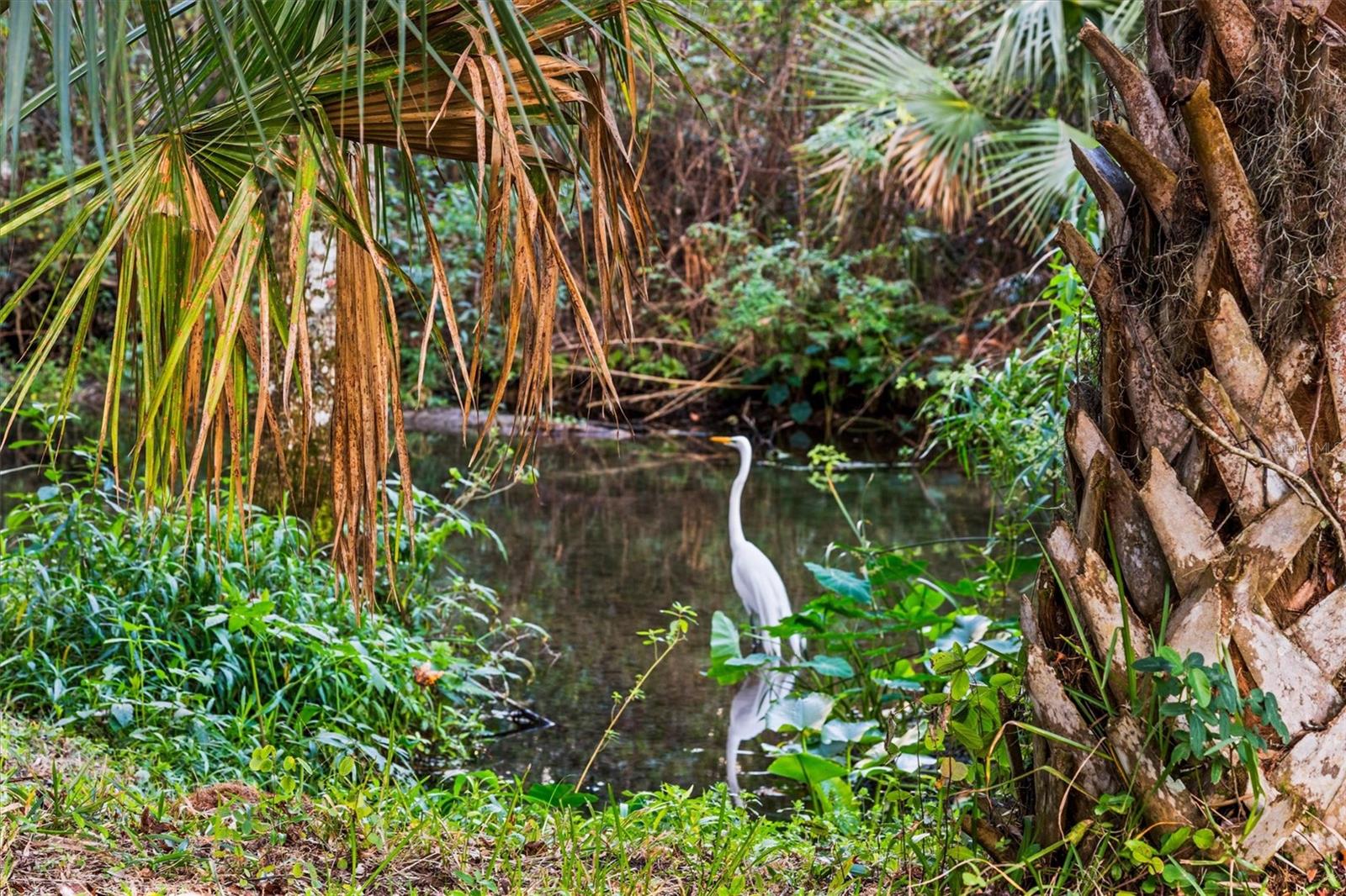 Image 40 of 63 For 114 Juniper Lane