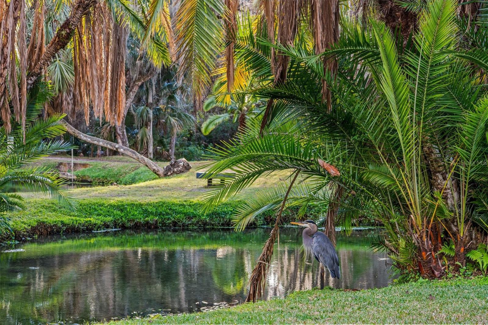 Image 41 of 63 For 114 Juniper Lane