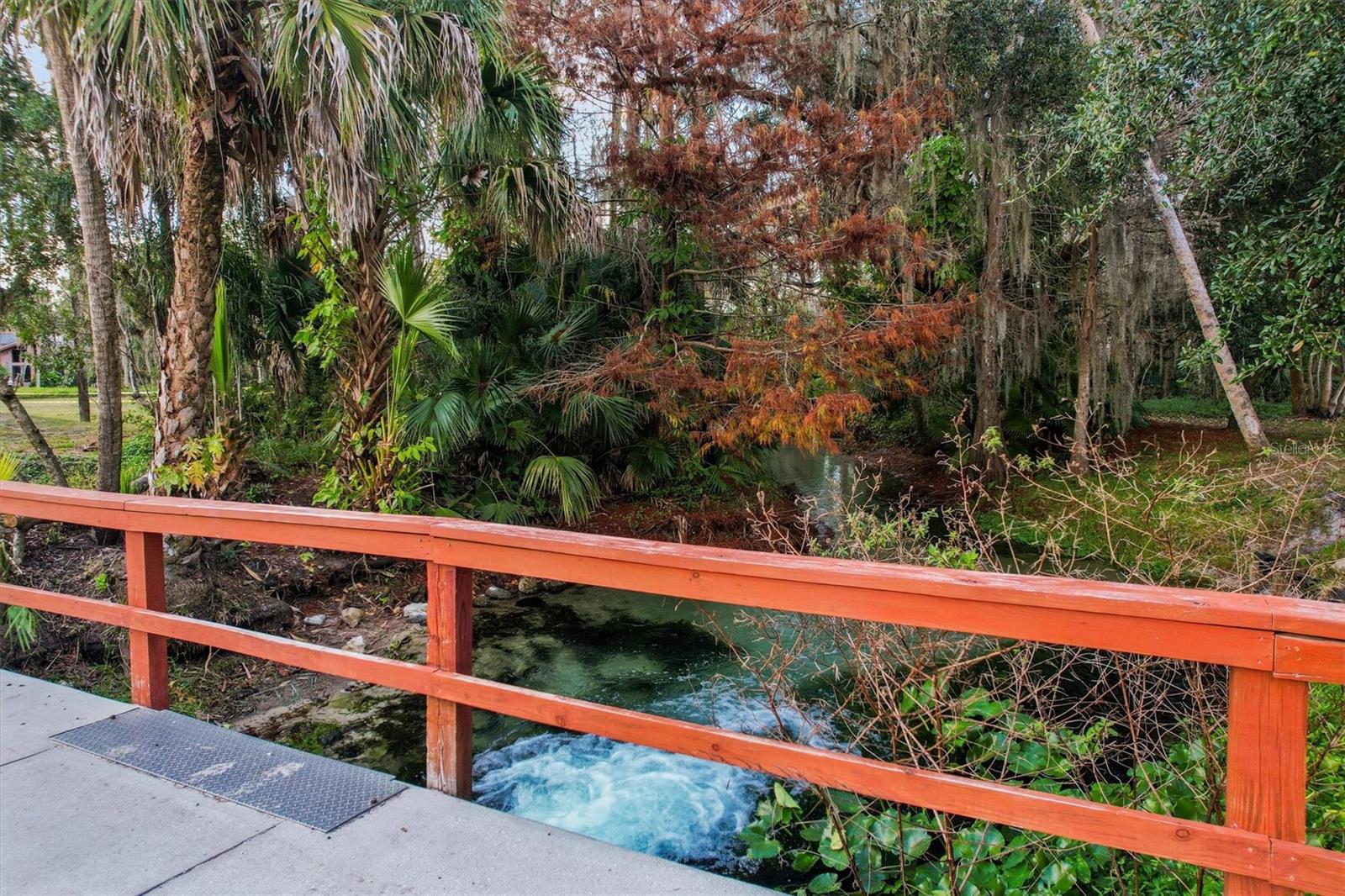 Image 44 of 63 For 114 Juniper Lane