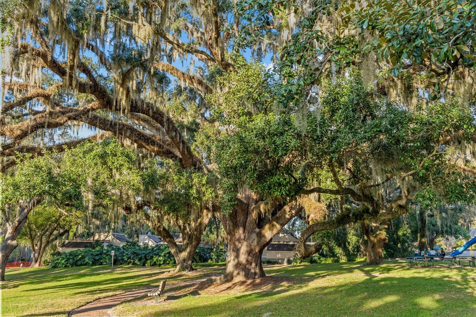 Image 48 of 63 For 114 Juniper Lane