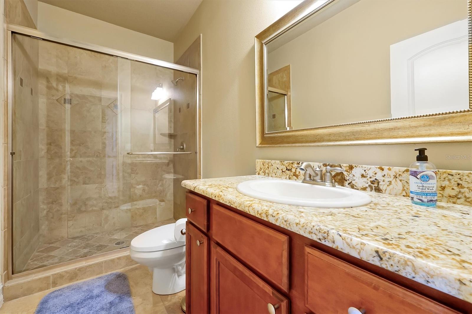 Image 41 of 68 For 12012 Rambling Oak Boulevard