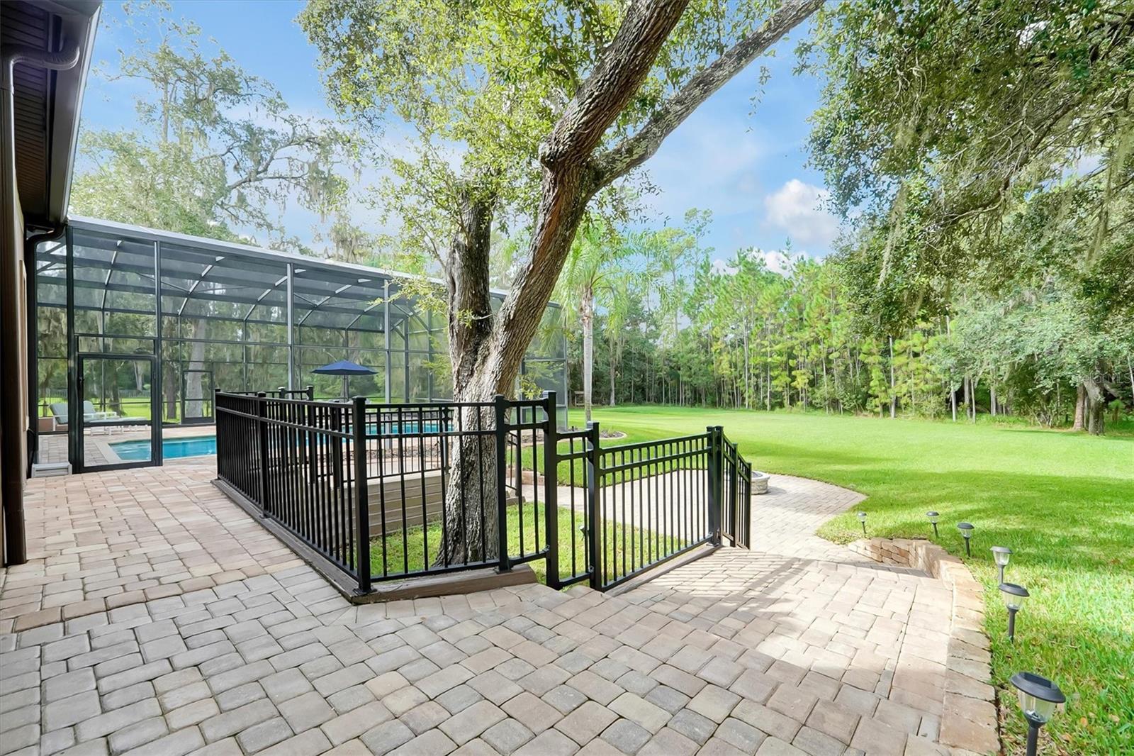 Image 51 of 68 For 12012 Rambling Oak Boulevard