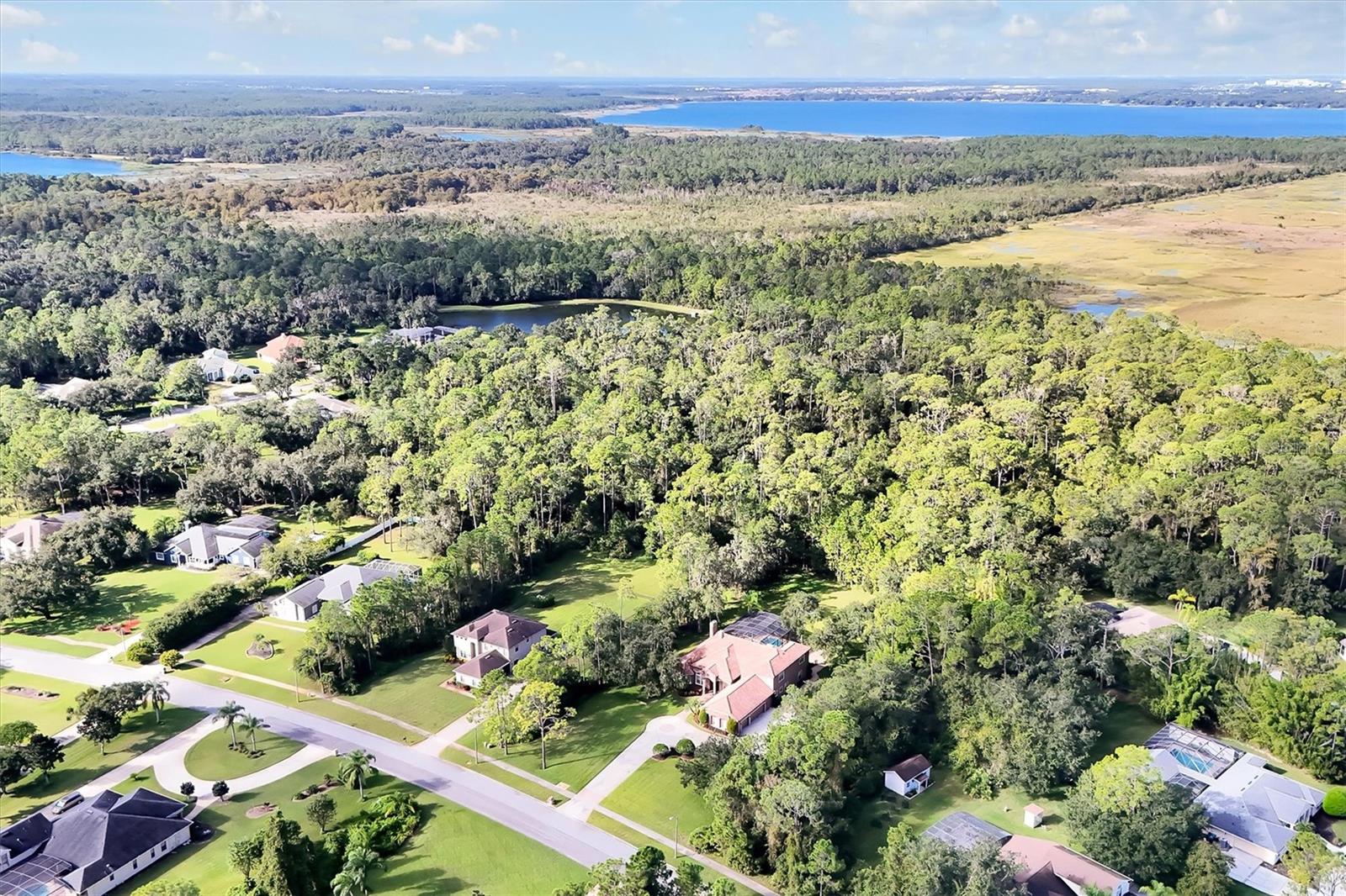 Image 68 of 68 For 12012 Rambling Oak Boulevard