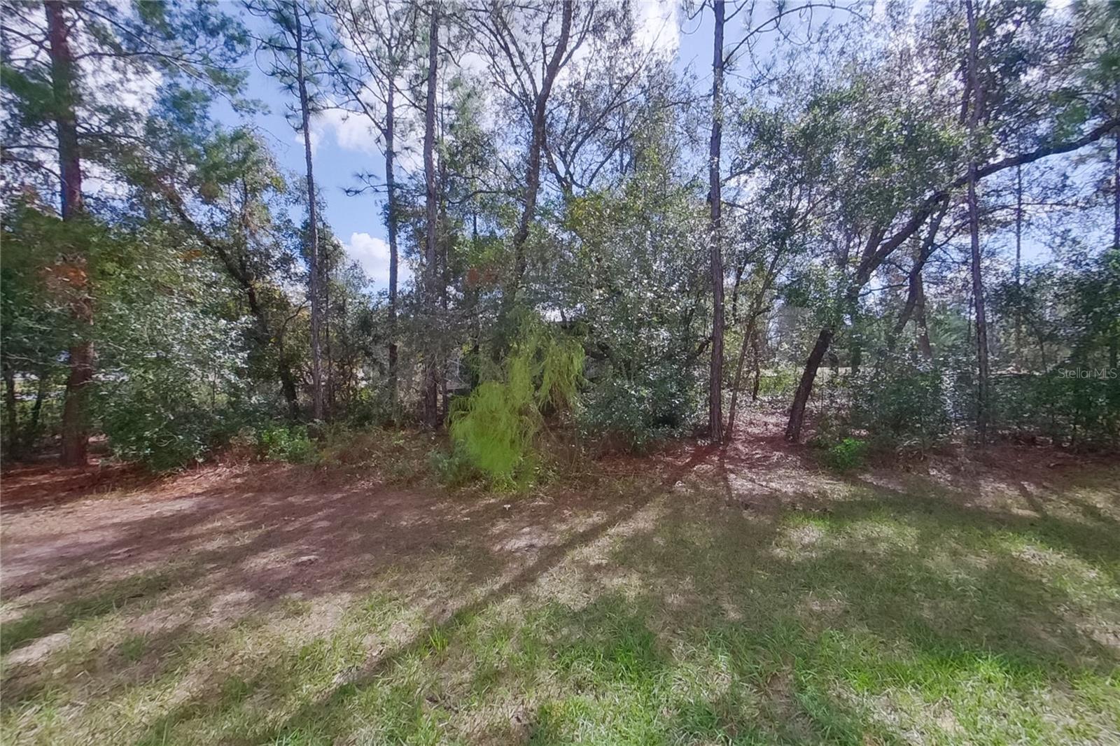 Image 23 of 24 For 2820 Andromedae Drive