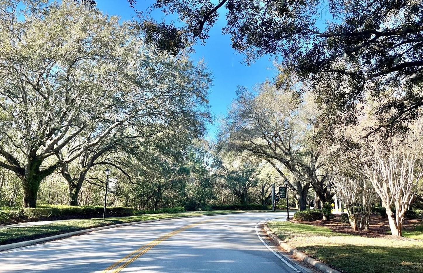 Image 49 of 51 For 2840 Lexington Court