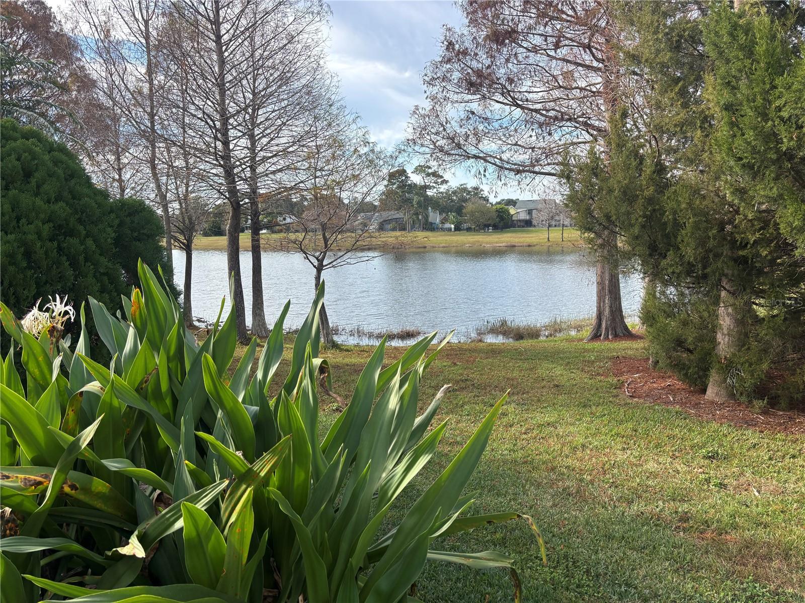 Image 12 of 13 For 700 River Boat Circle