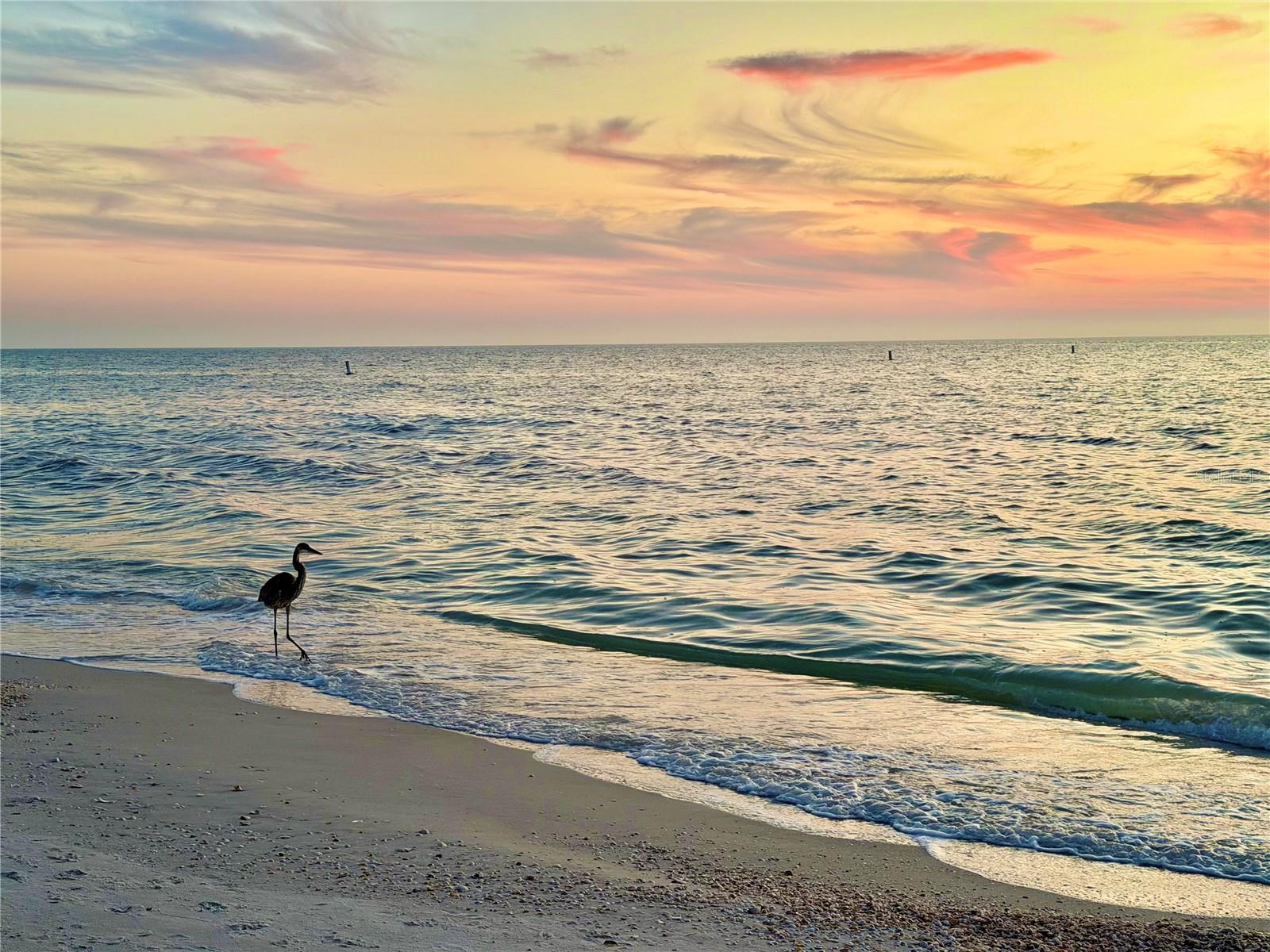 Image 3 of 42 For 3575 Gulf Boulevard 105