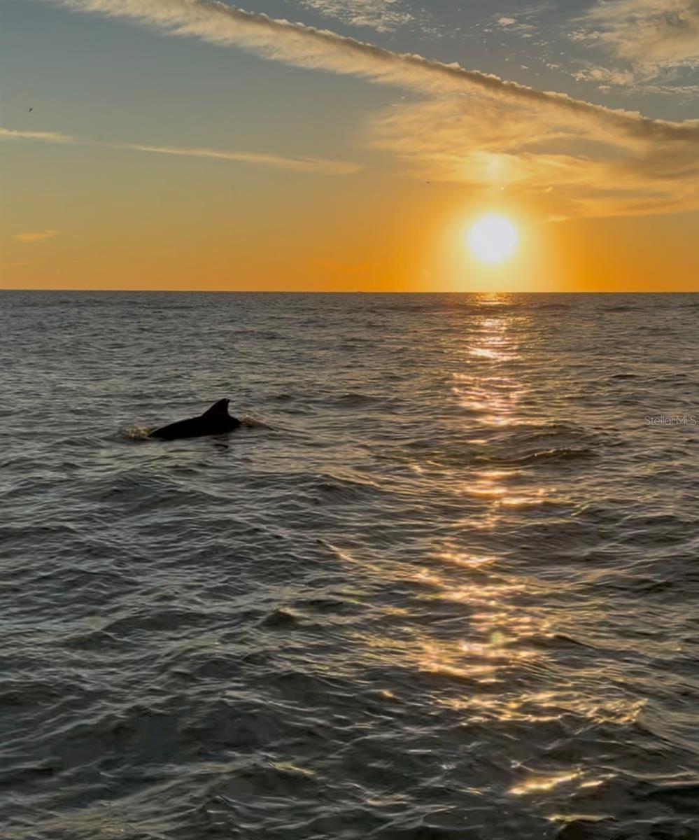 Image 39 of 42 For 3575 Gulf Boulevard 105