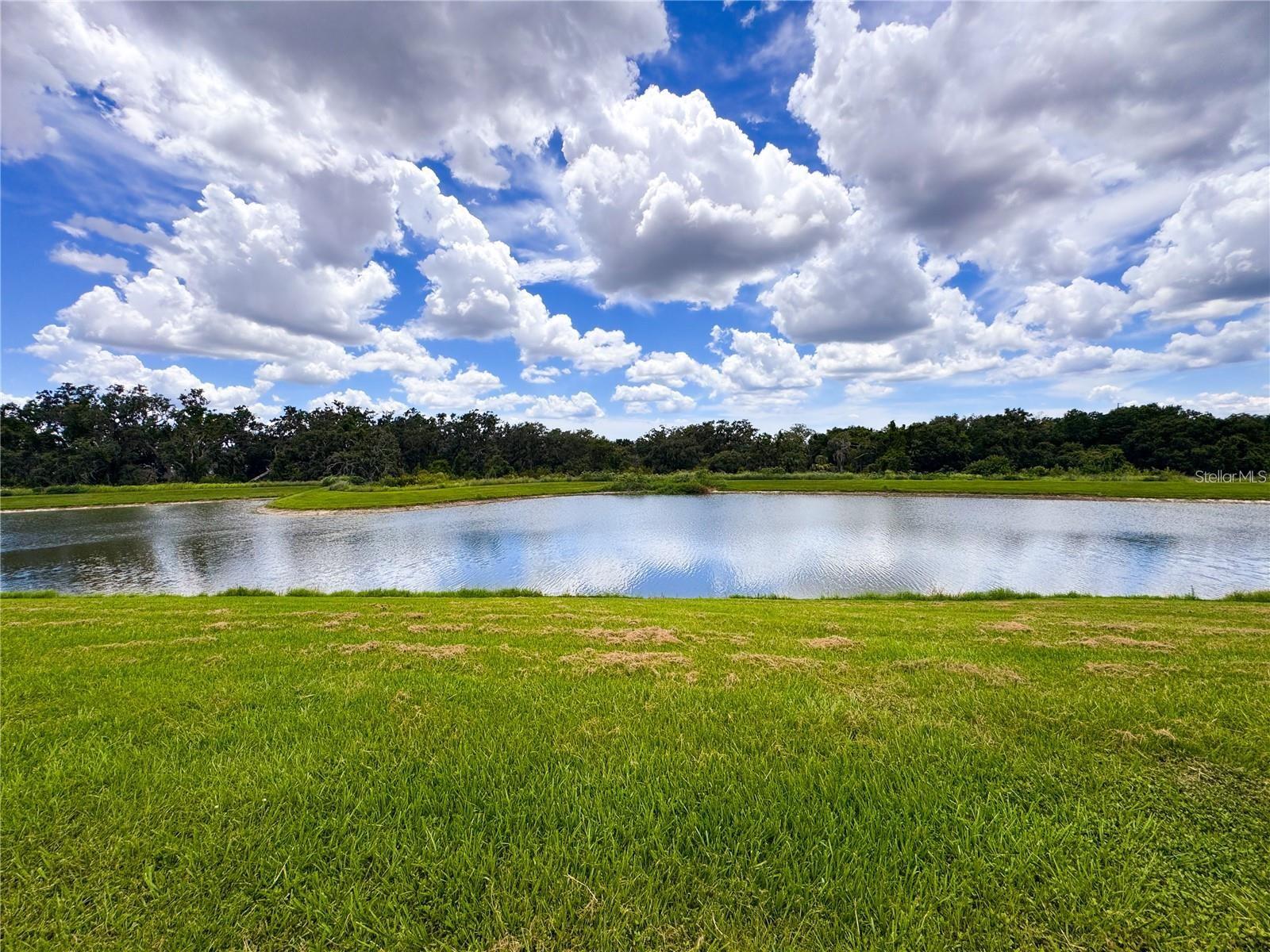 Image 43 of 51 For 11124 Leland Groves Drive