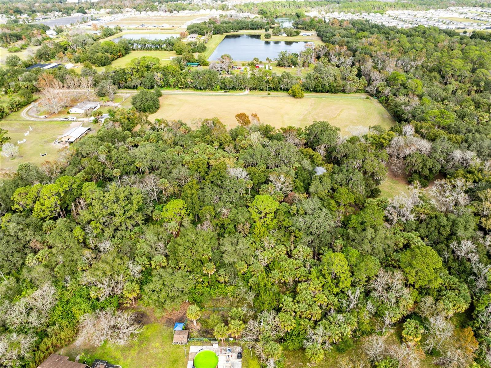 Image 10 of 34 For 1545 Palm Way