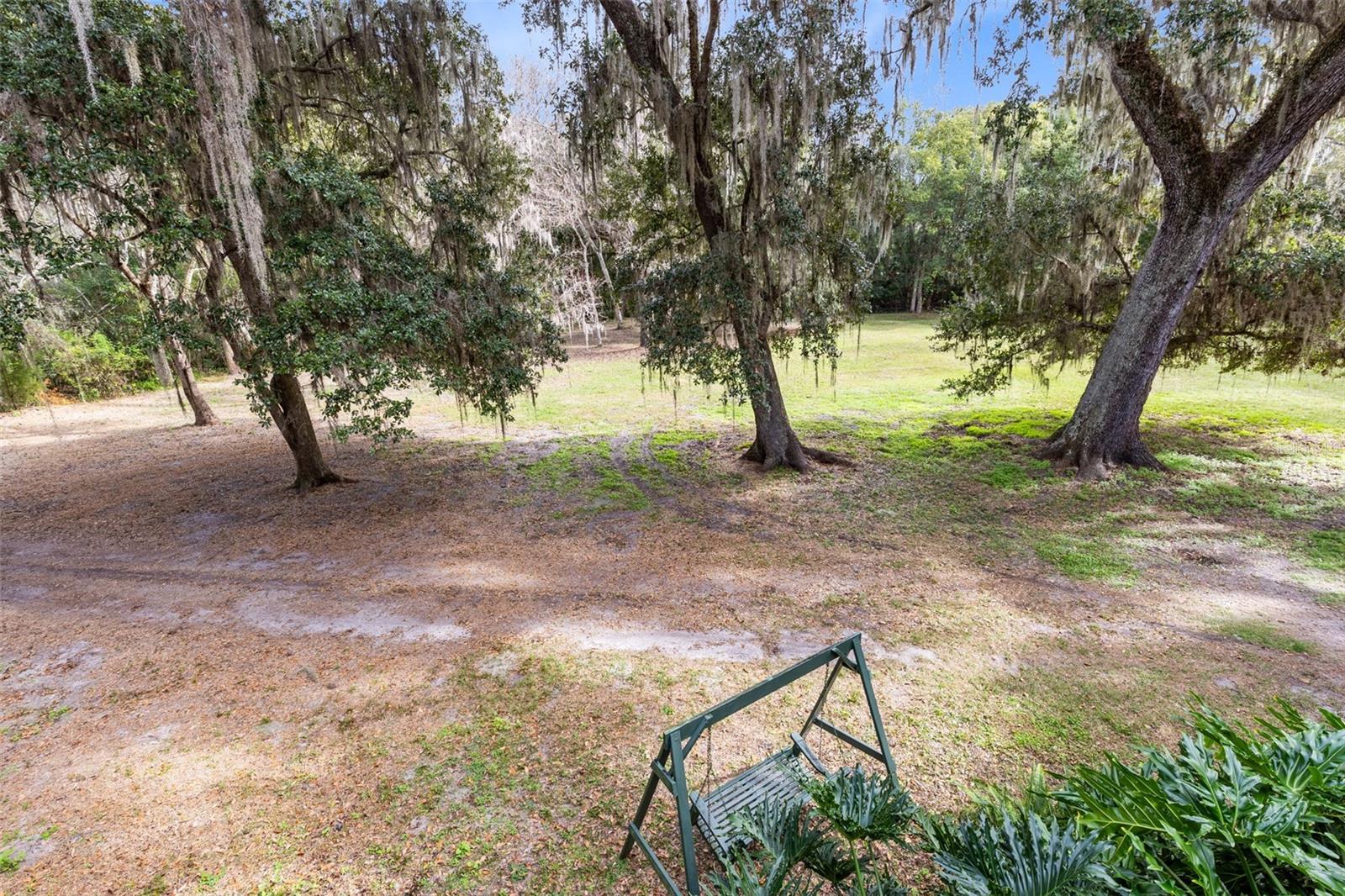 Image 21 of 34 For 1545 Palm Way