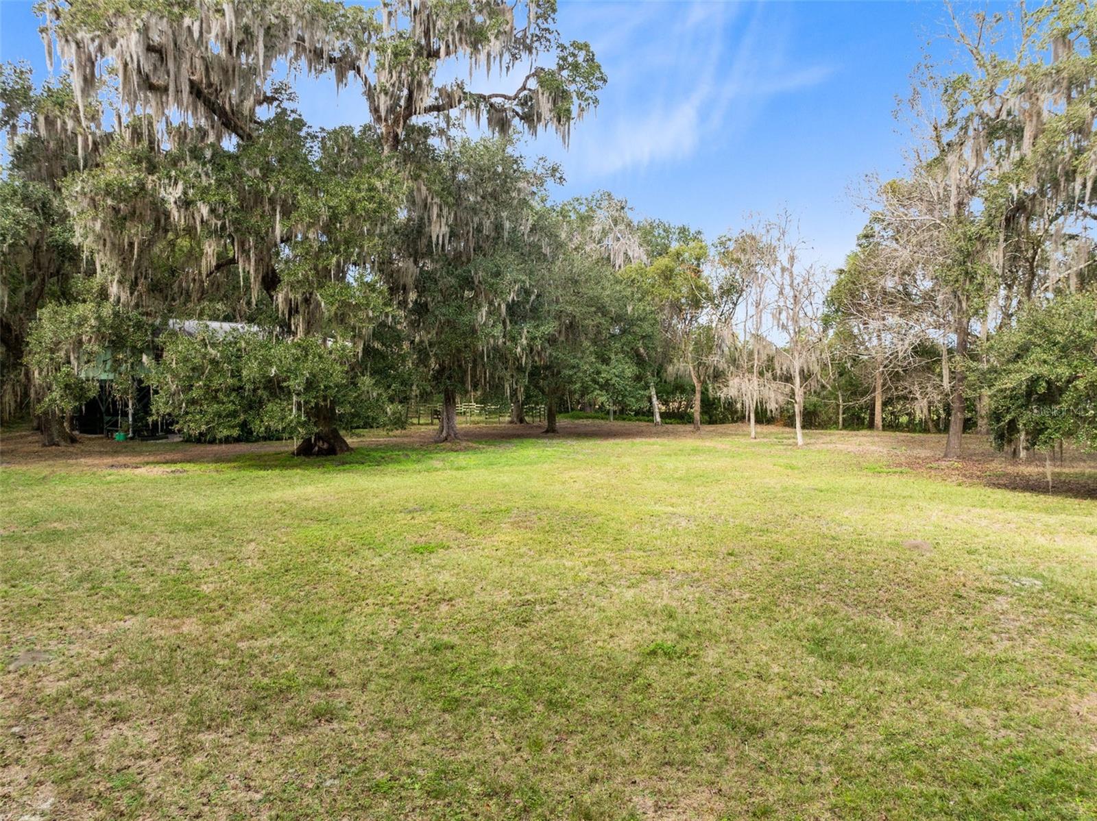 Image 5 of 34 For 1545 Palm Way