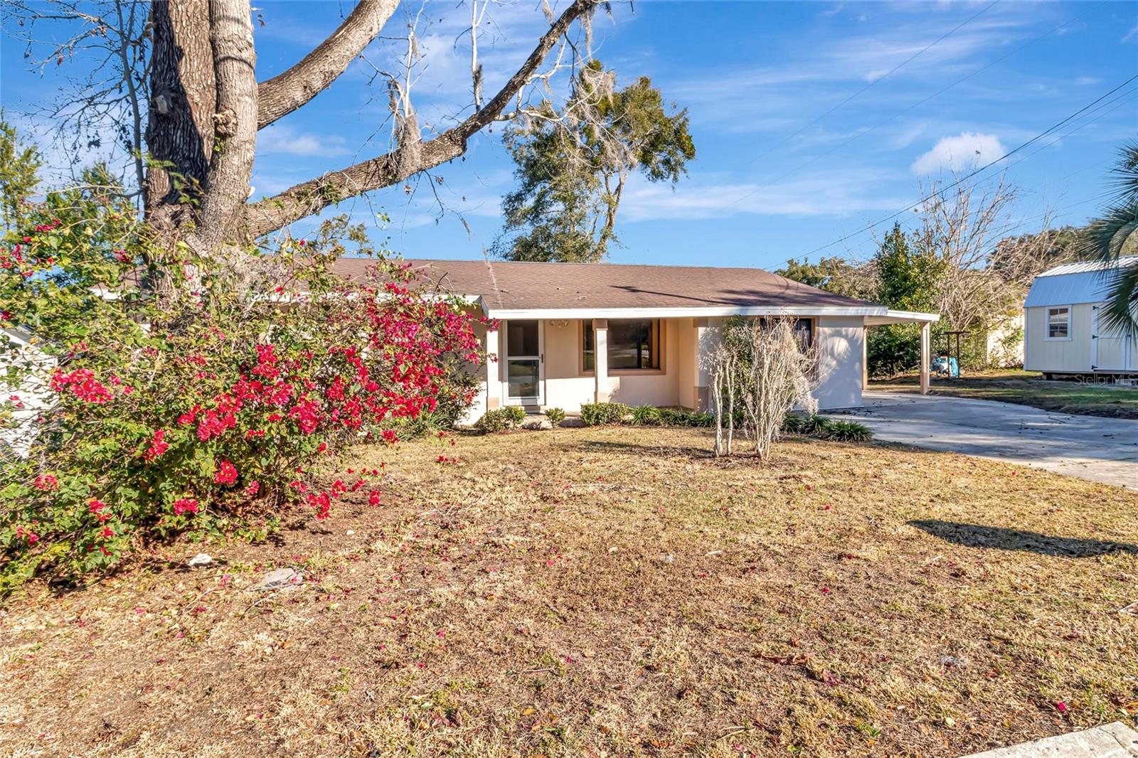 Image 6 of 38 For 1021 Hollywood Avenue