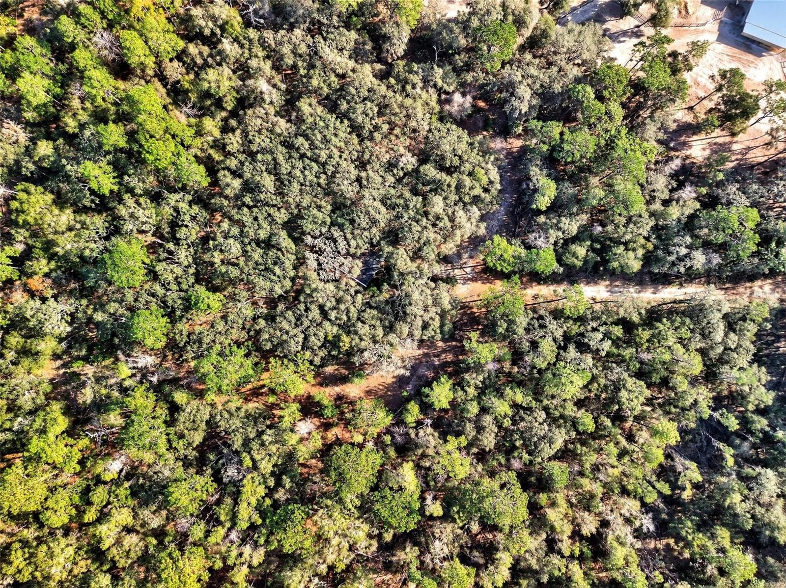 Image 44 of 64 For Address Not Provided