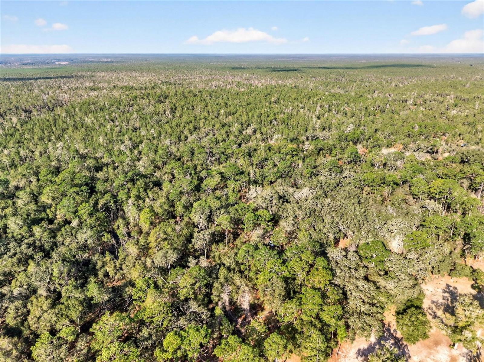 Image 46 of 64 For Address Not Provided