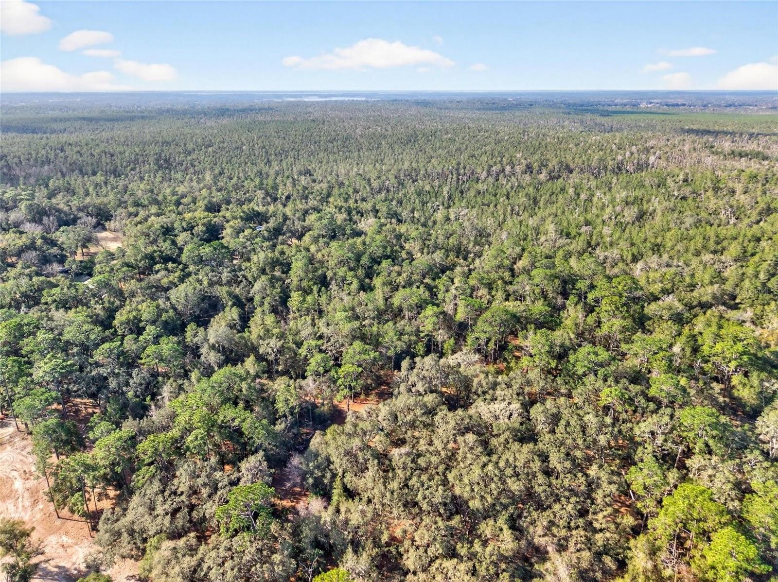 Image 48 of 64 For Address Not Provided