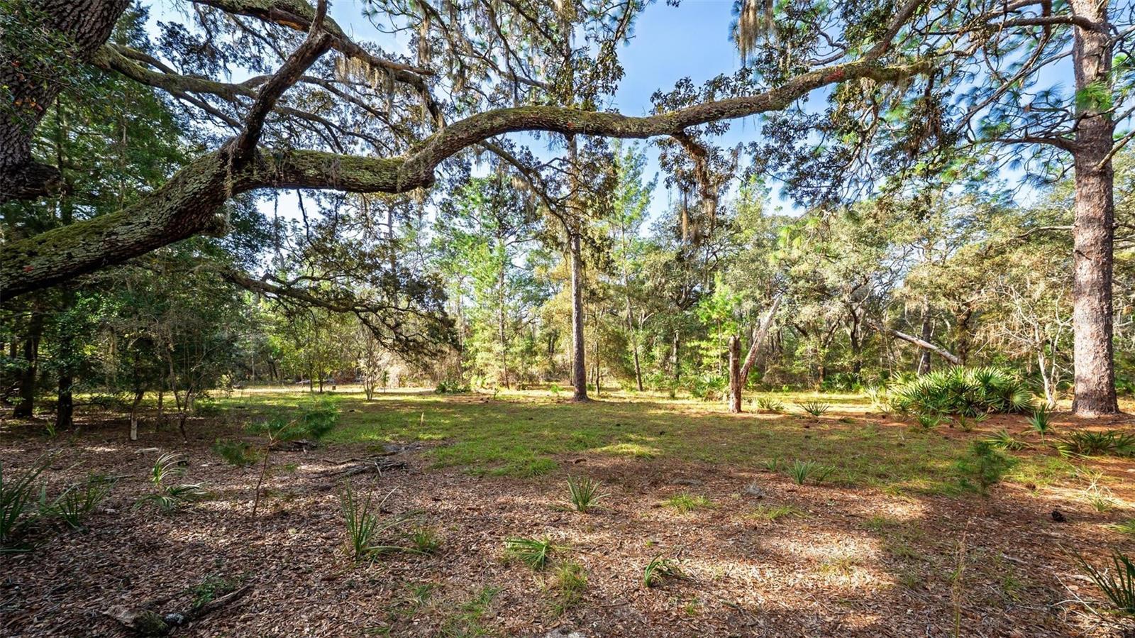 Image 59 of 64 For Address Not Provided