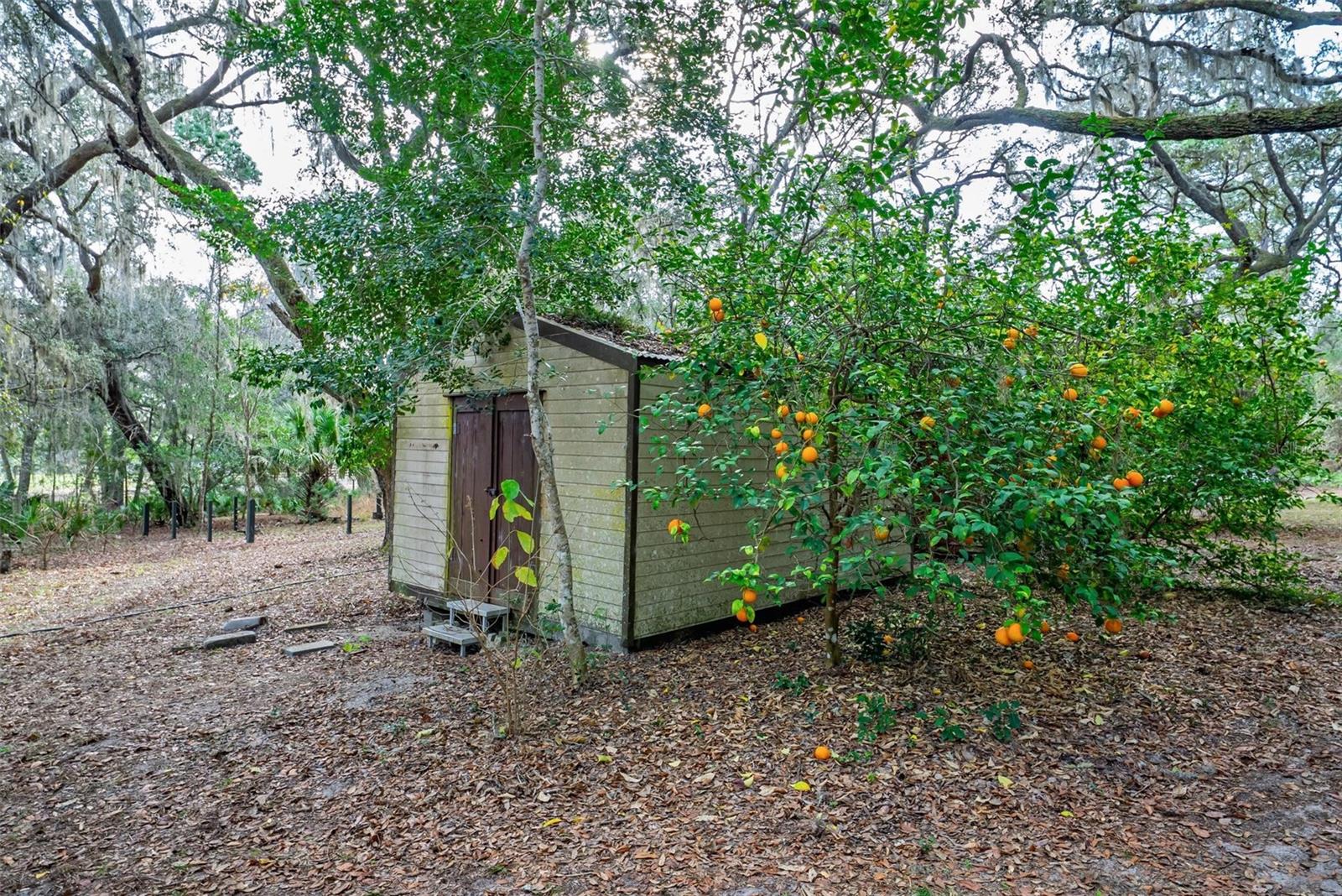 Image 63 of 64 For Address Not Provided